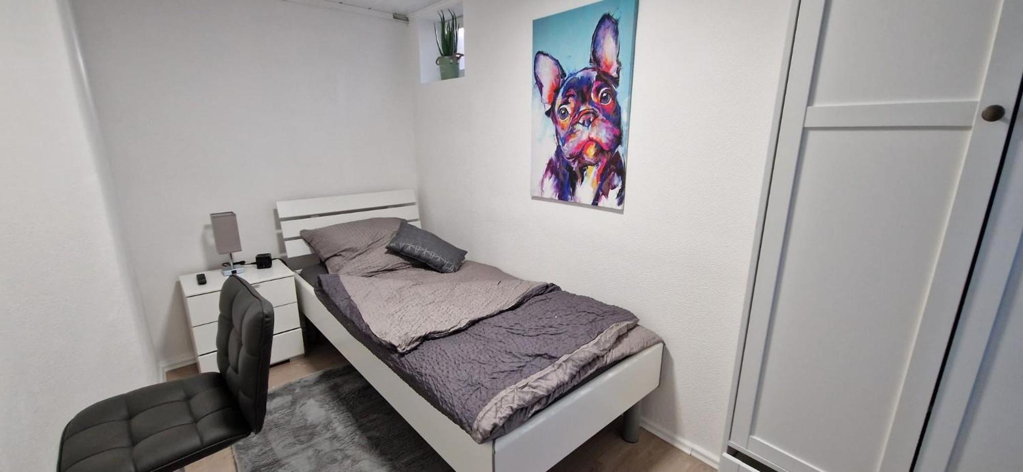 Single Room photo 1