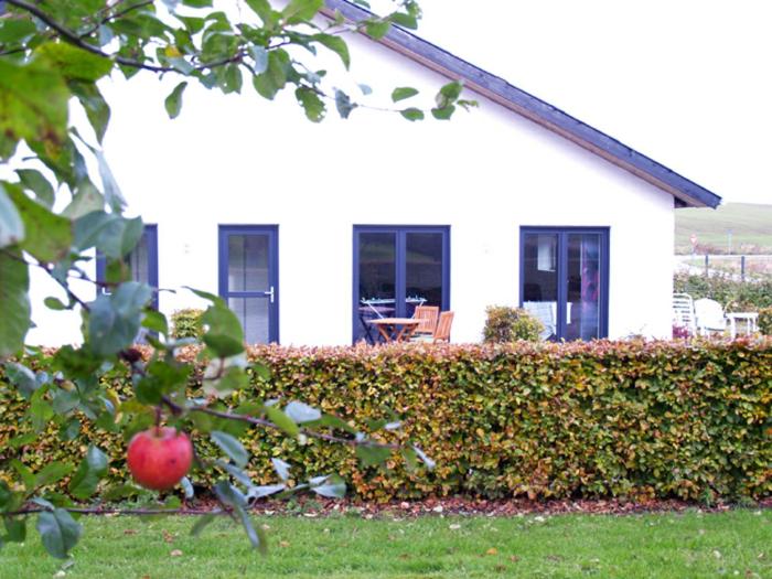 Family Studio (2 Adults + 1 Child) - Photo 2
