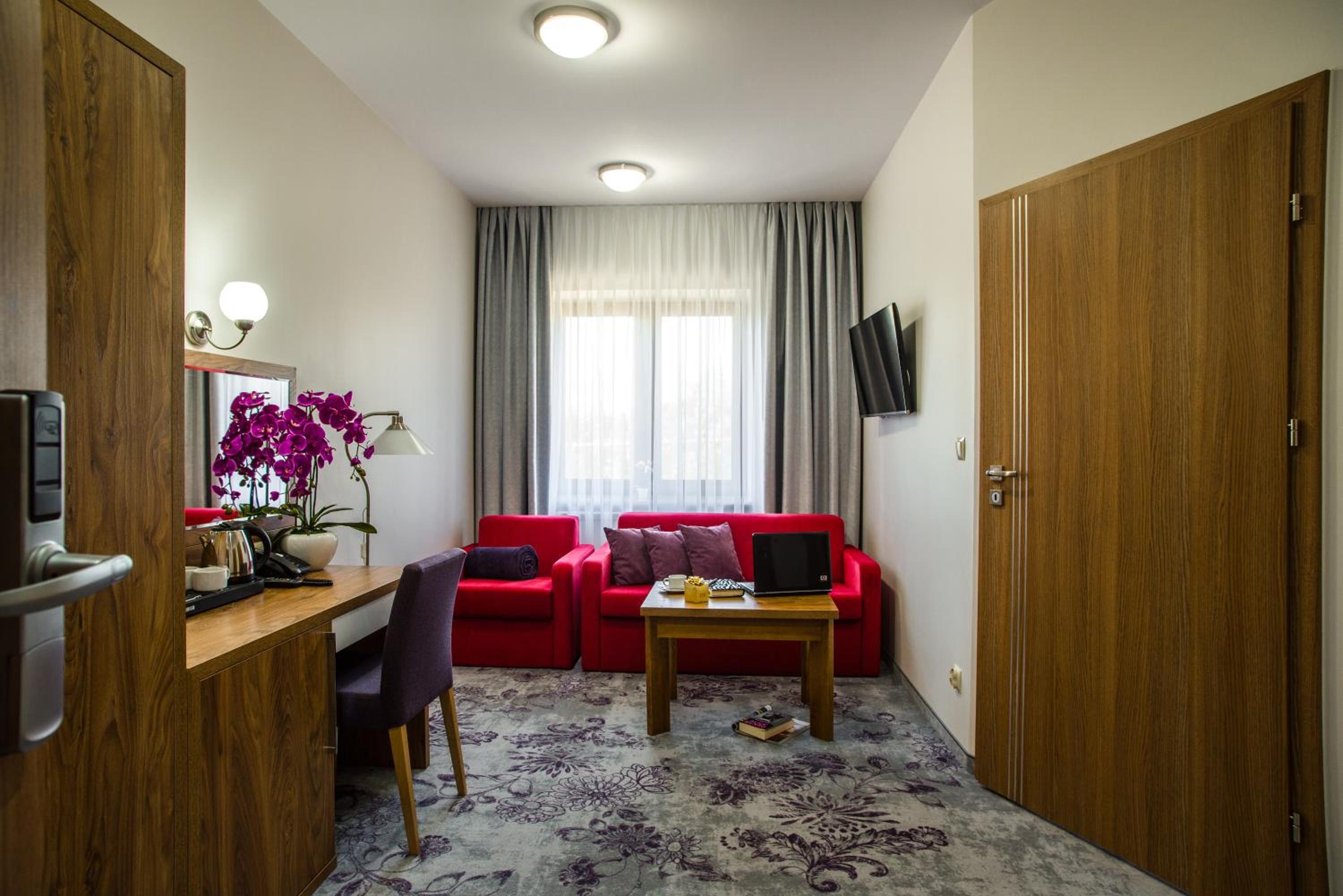 Deluxe One-Bedroom Apartment - Photo 7