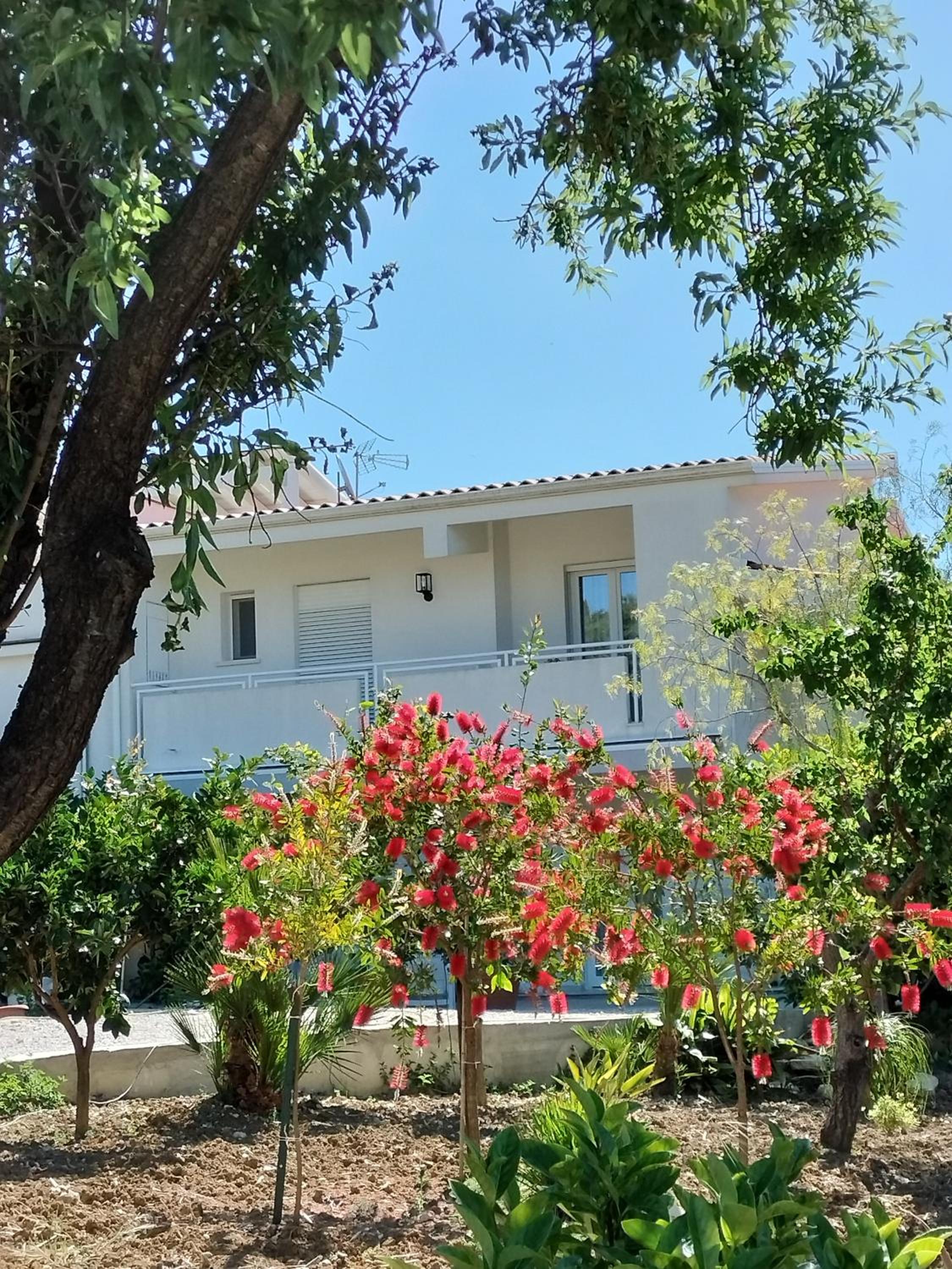 Apartment with Garden View - Photo 8