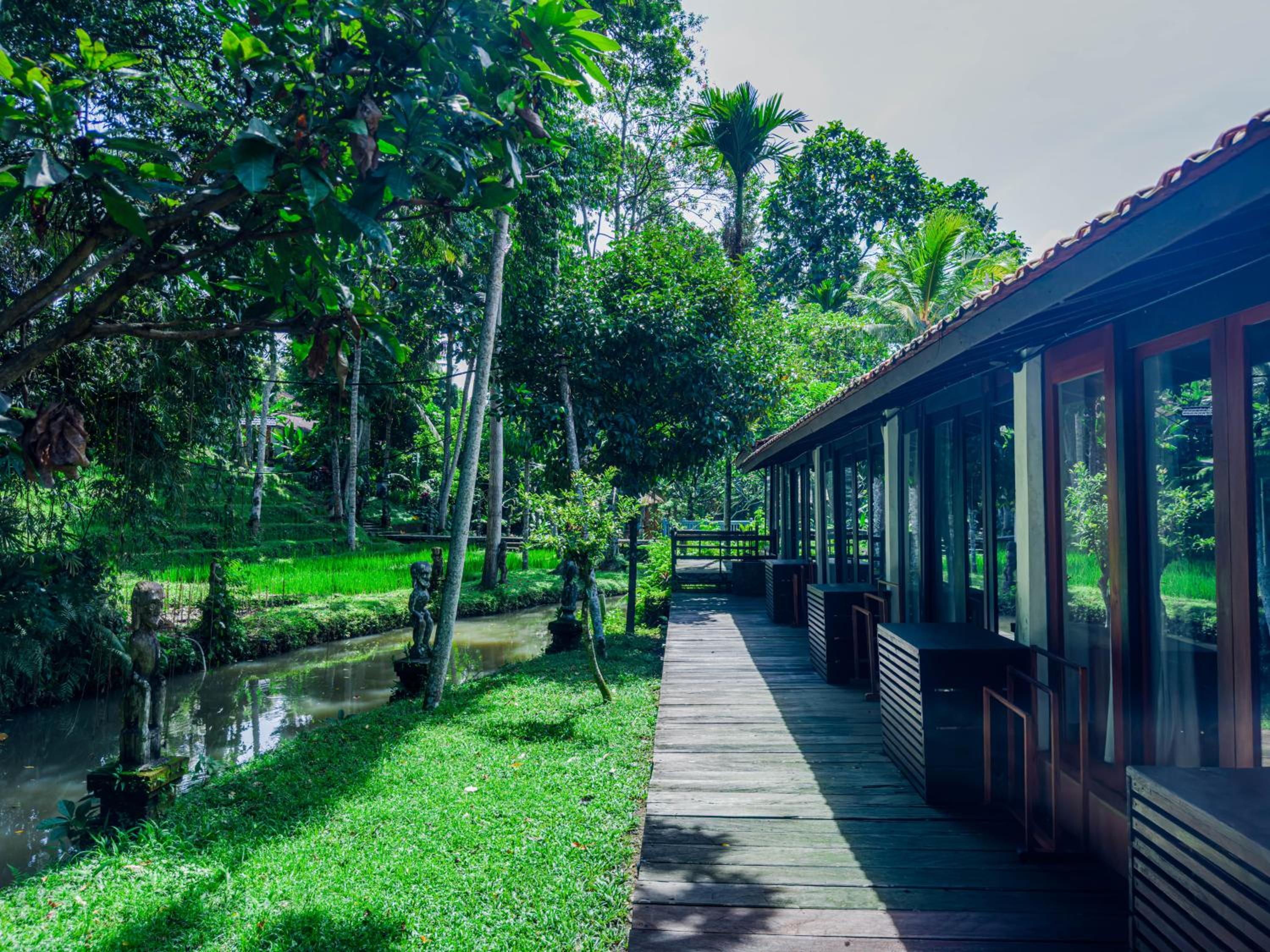 Superior  Room with River View and Free Benefits  photo 2
