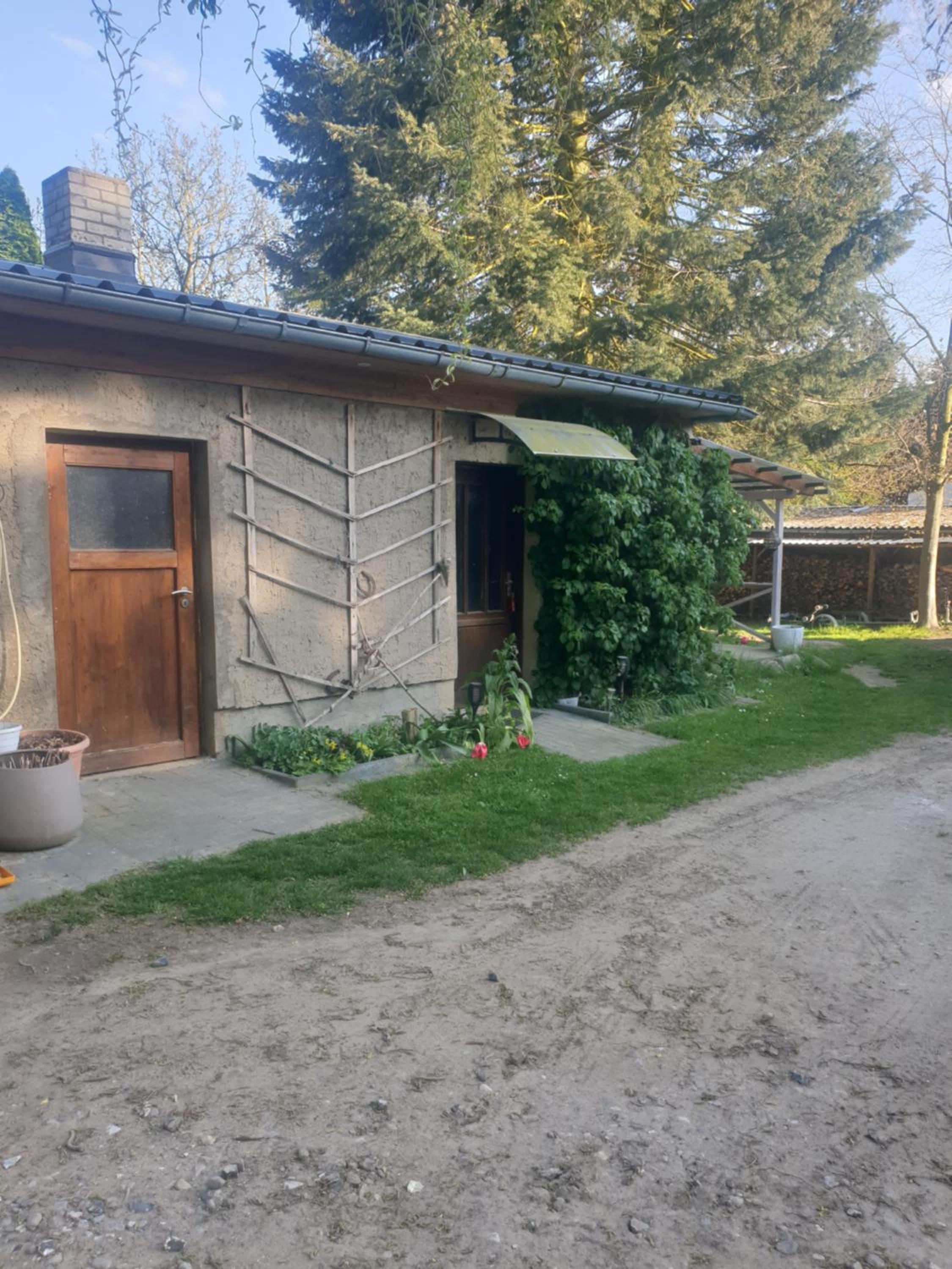 One-Bedroom House photo 3