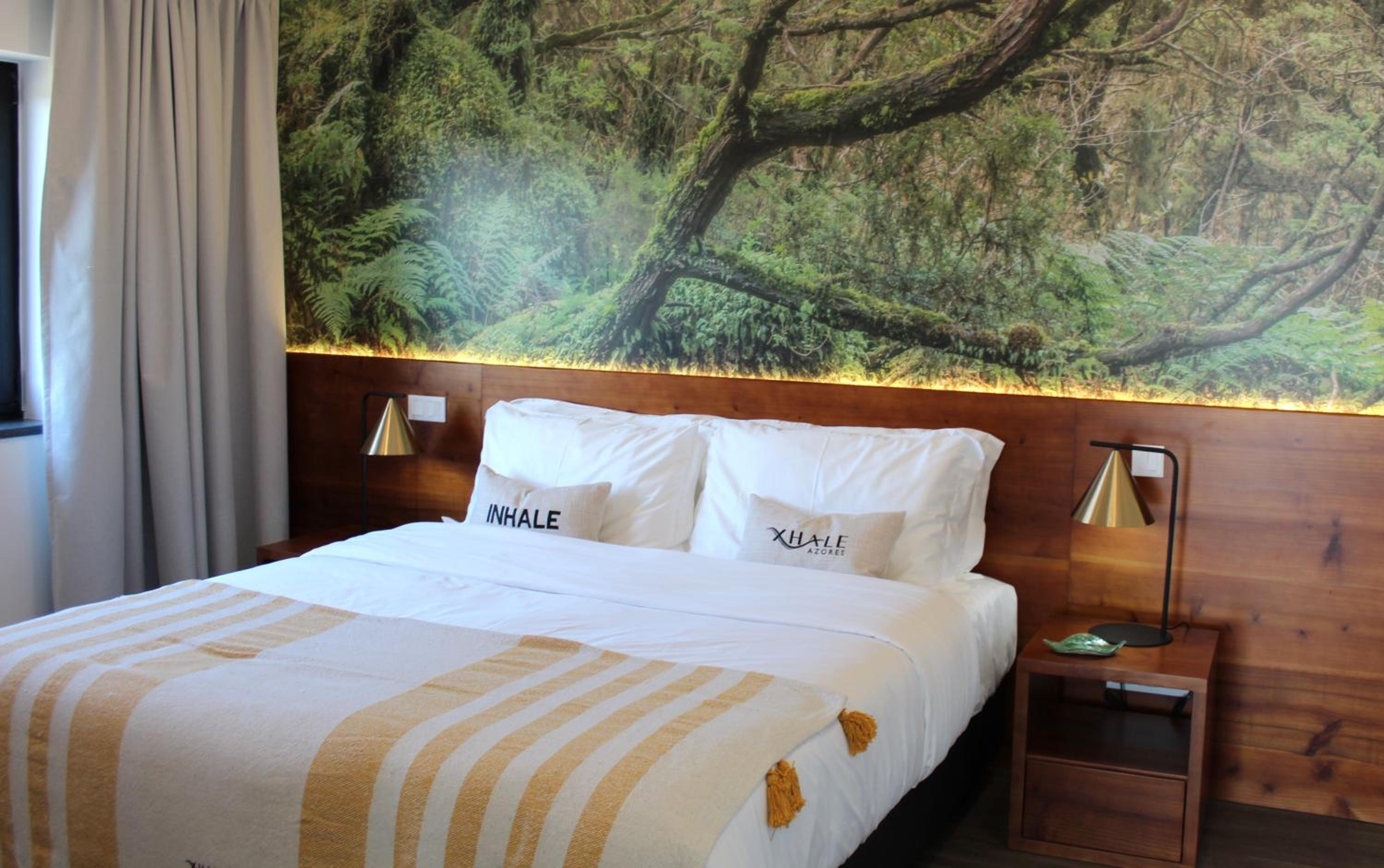 Deluxe One-Bedroom Apartment with Ocean View