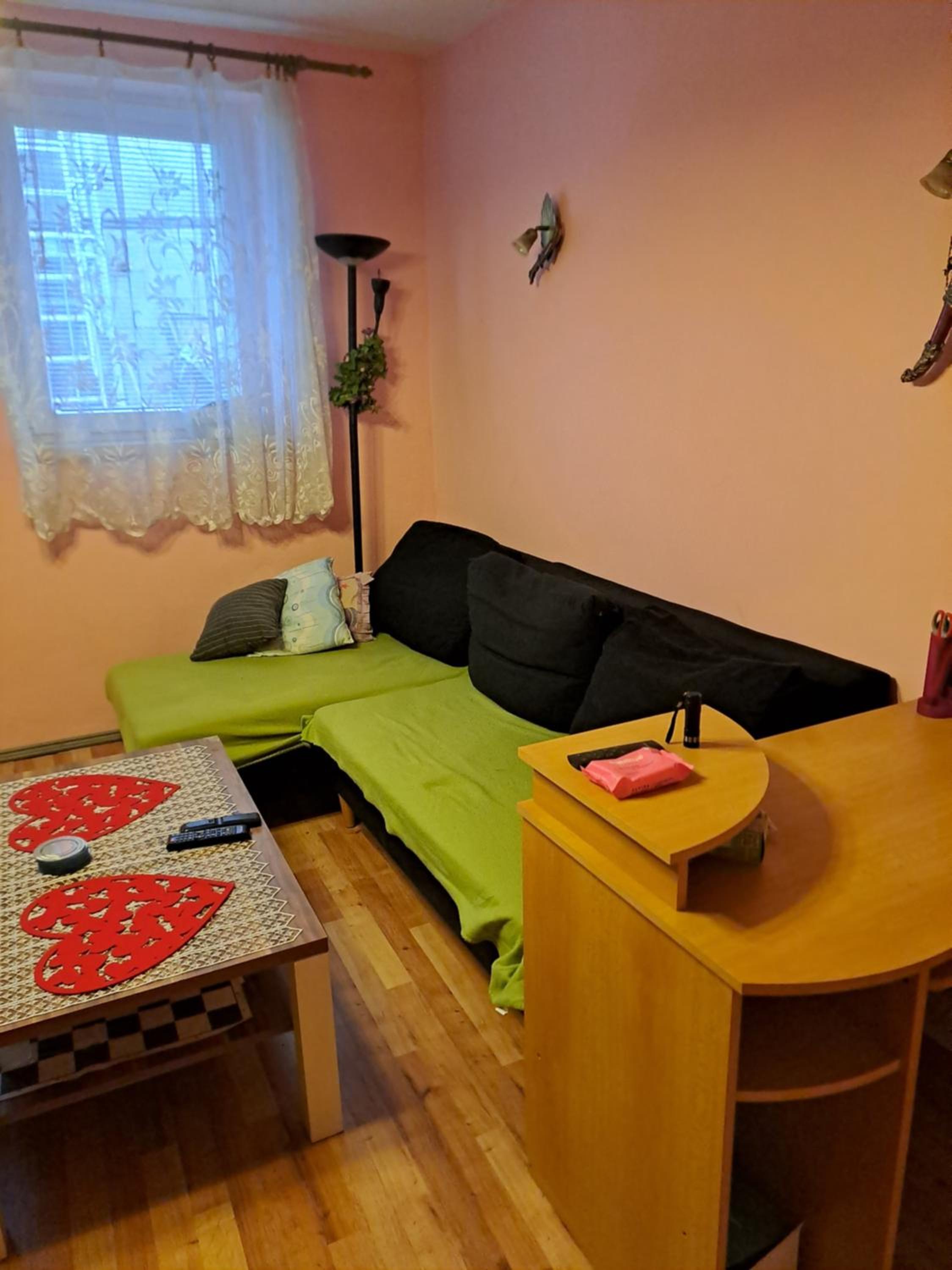 Family Room photo 1