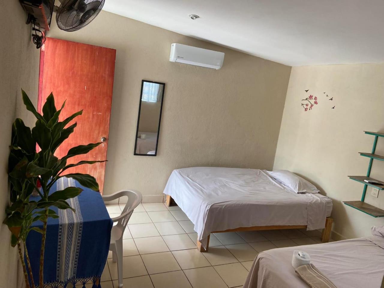 Twin Room photo 2