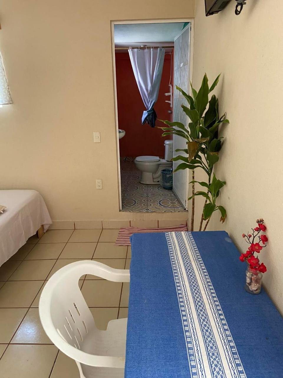 Twin Room photo 1