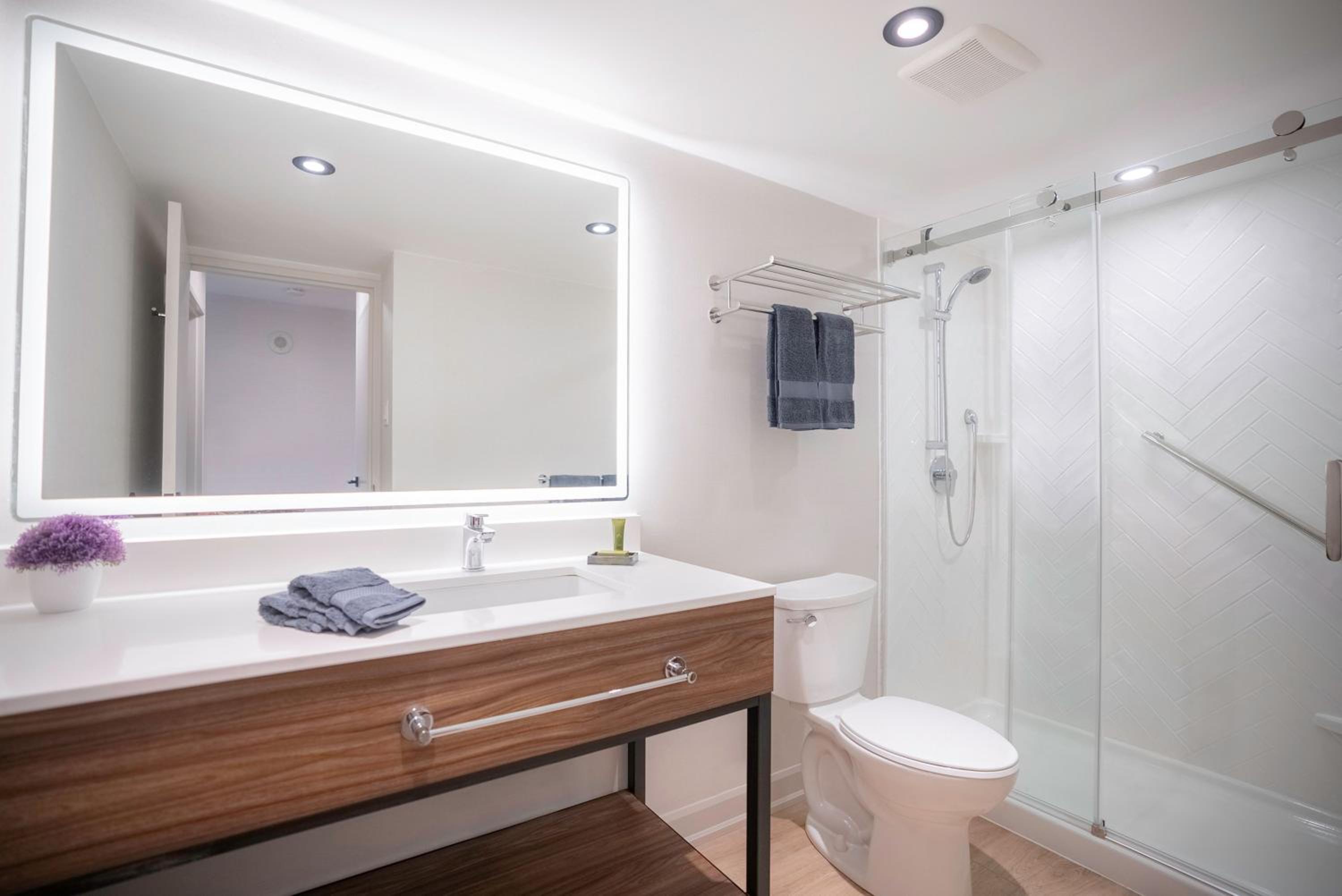 Modern One Bedroom Suite