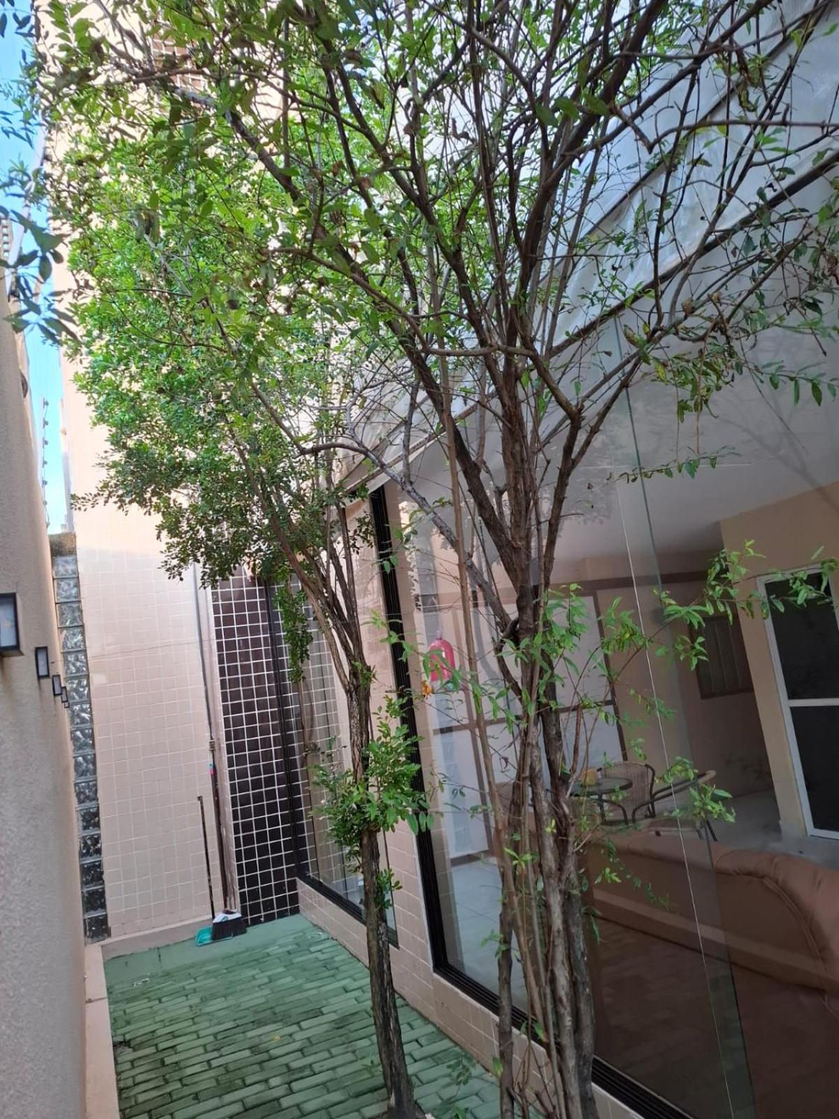 Twin Room with Garden View - Photo 1