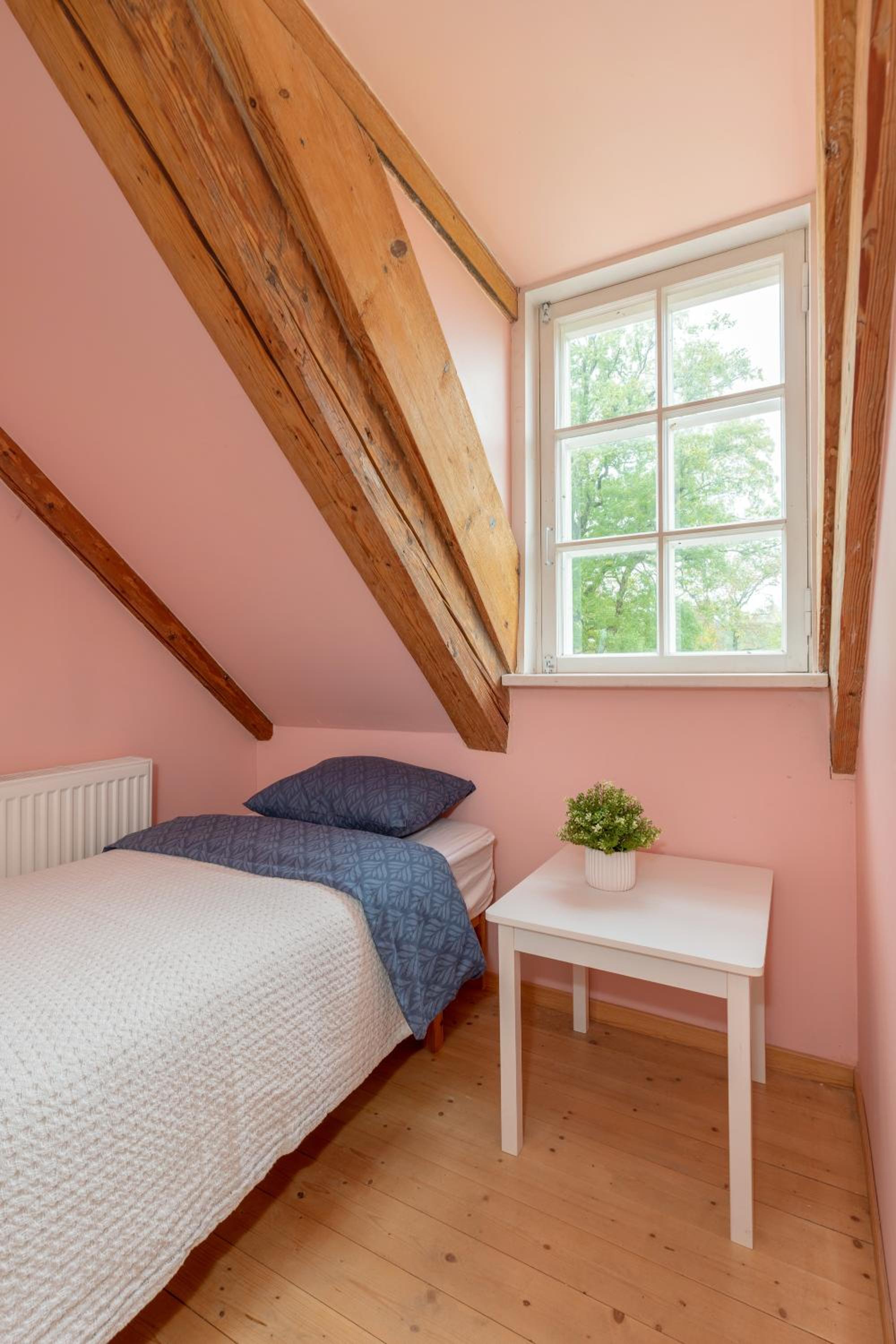 Single Room photo 2