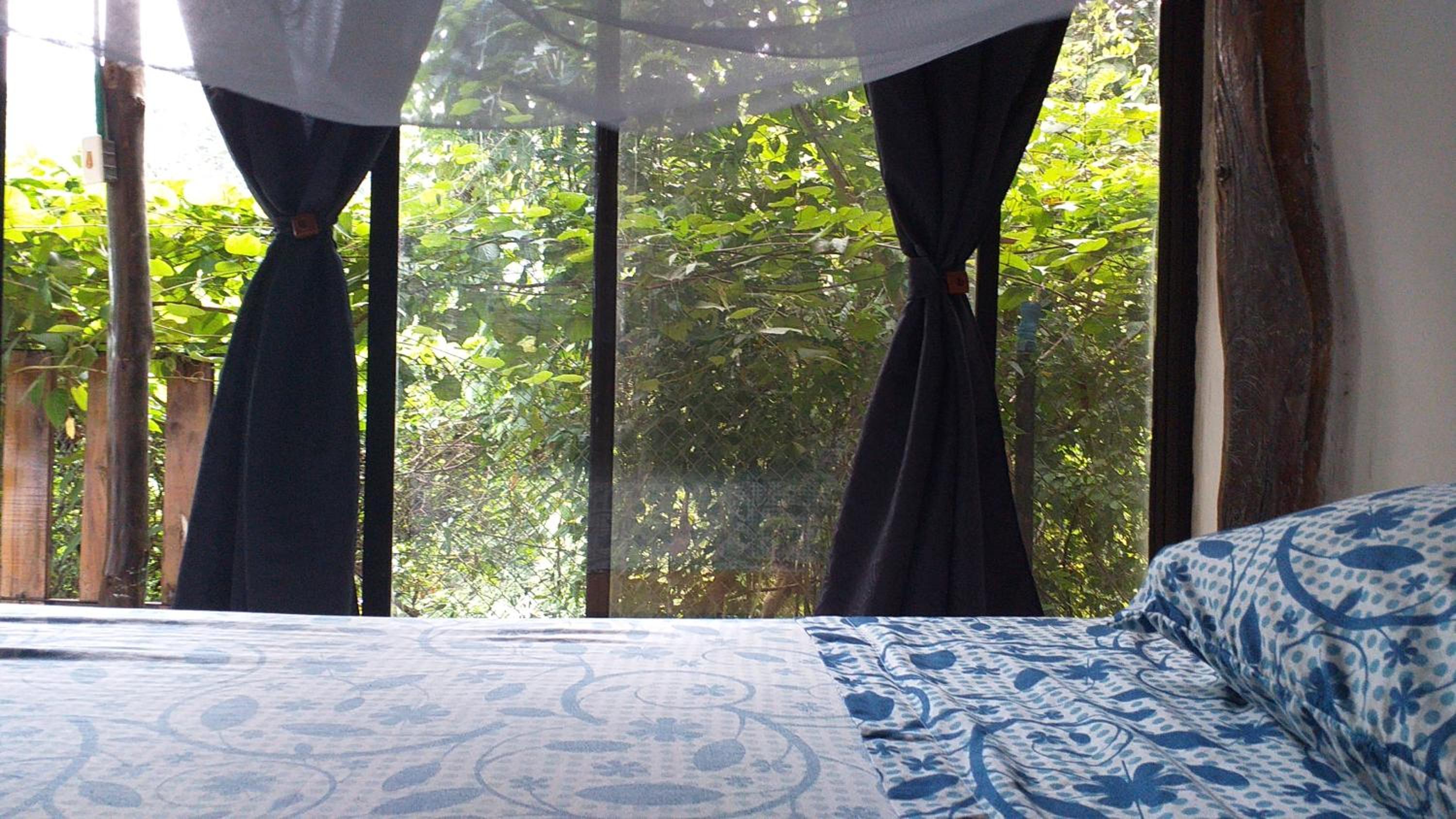 Mixed Dormitory Room photo 1