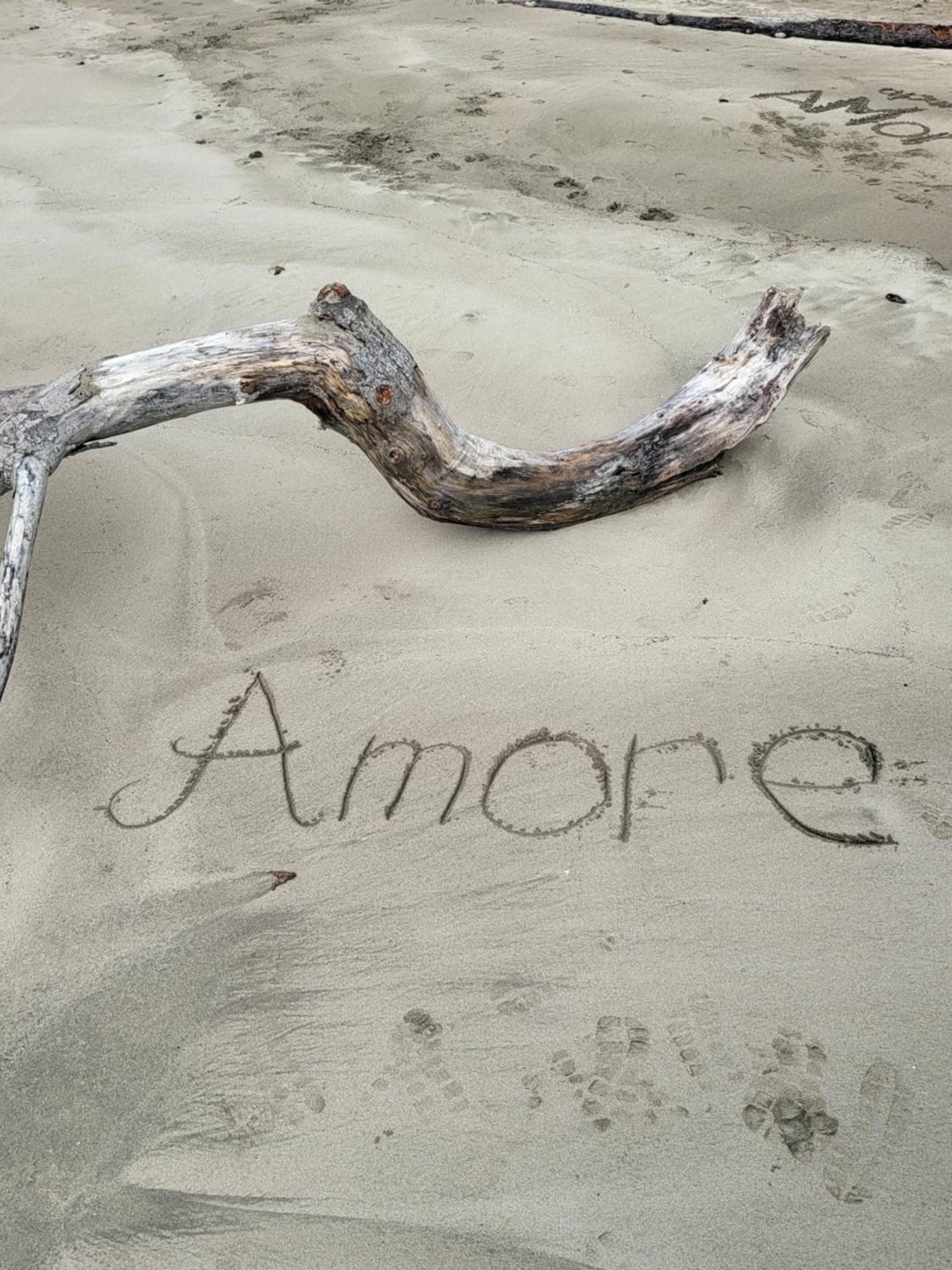 Two-Bedroom Villa photo 2