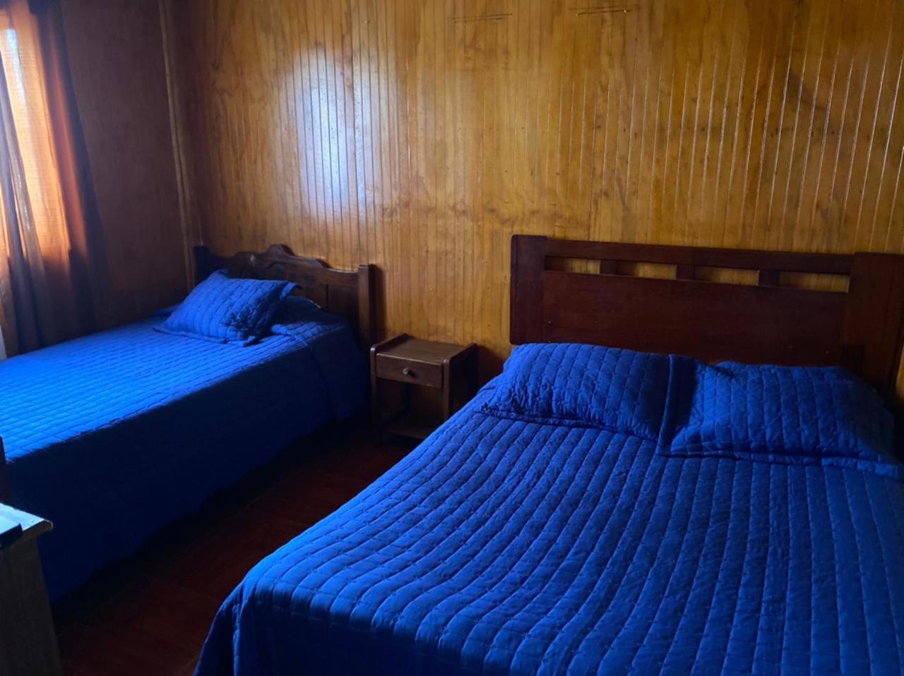Twin Room photo 1