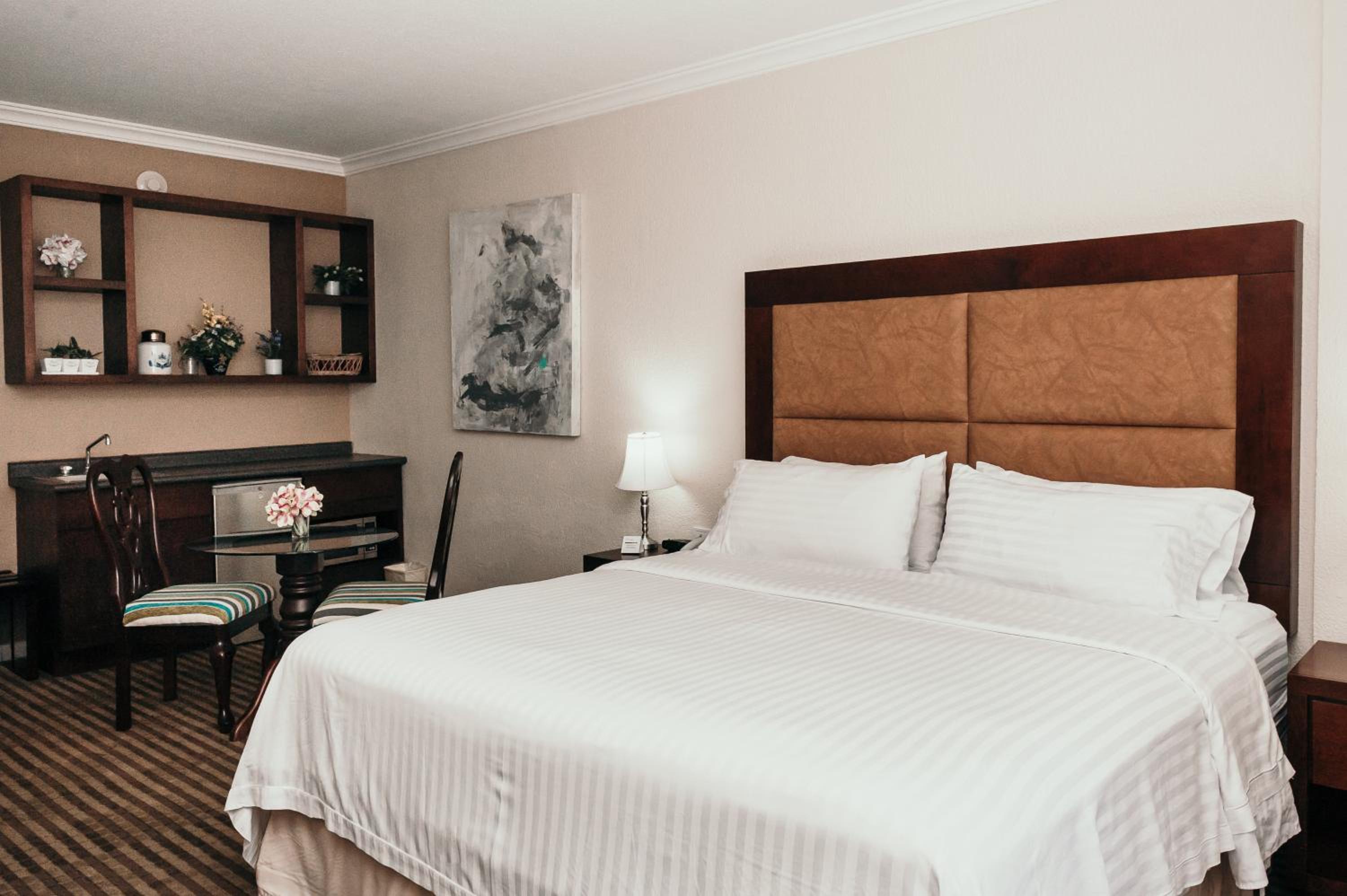 Junior King Suite - Photo 4