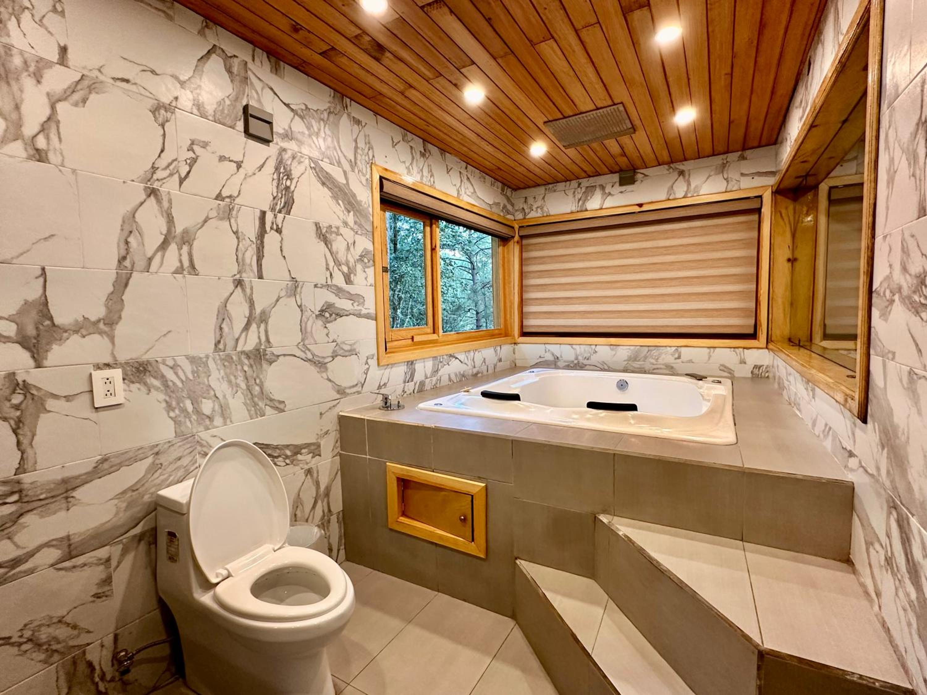 Superior One-Bedroom Chalet - Photo 4