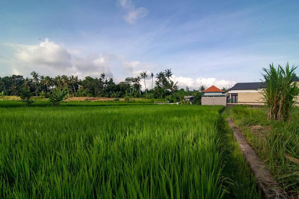 Three-Bedroom Villa - Photo 18