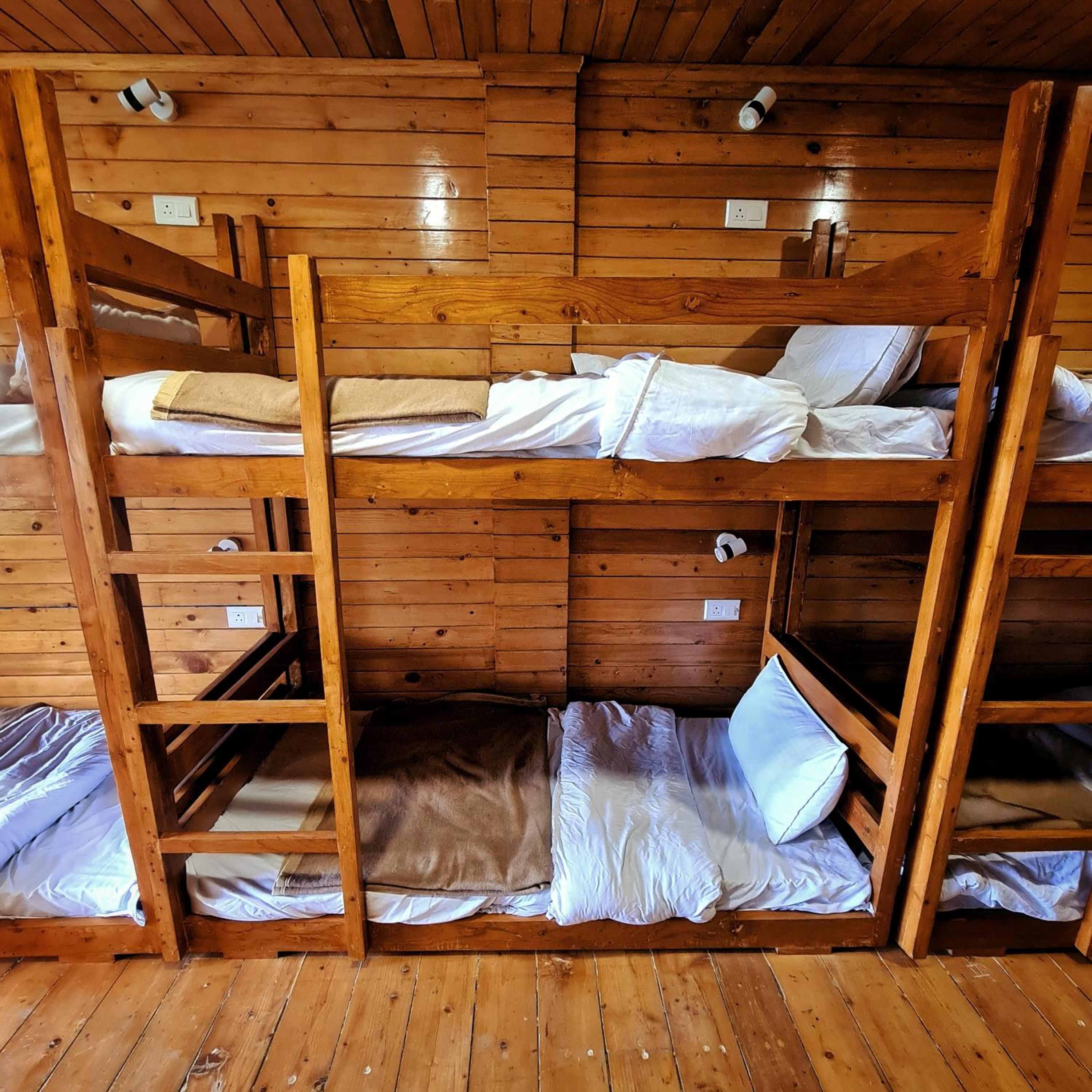 Bunk Bed In Mixed Dormitory Room photo 1