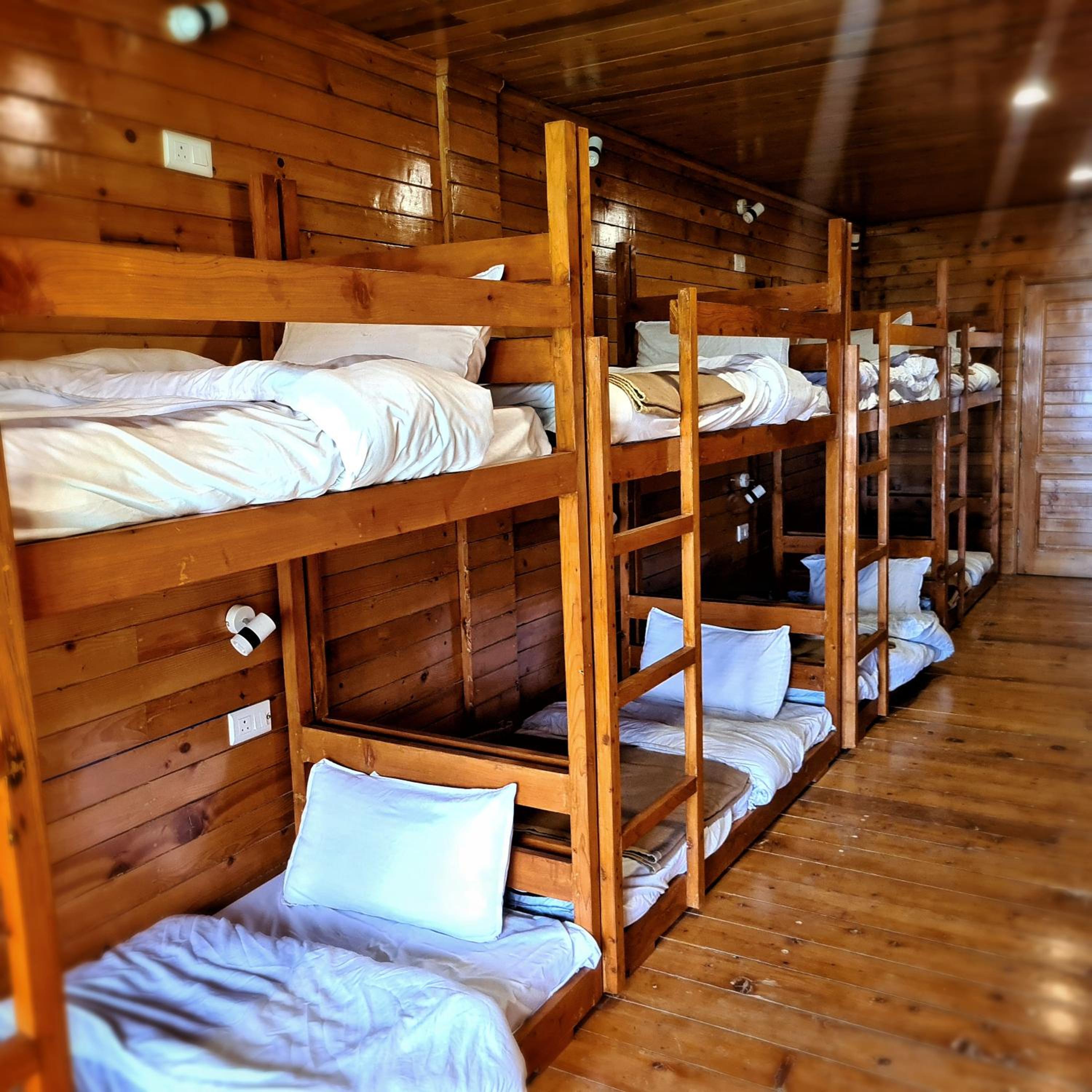 Bunk Bed In Male Dormitory Room  photo 1