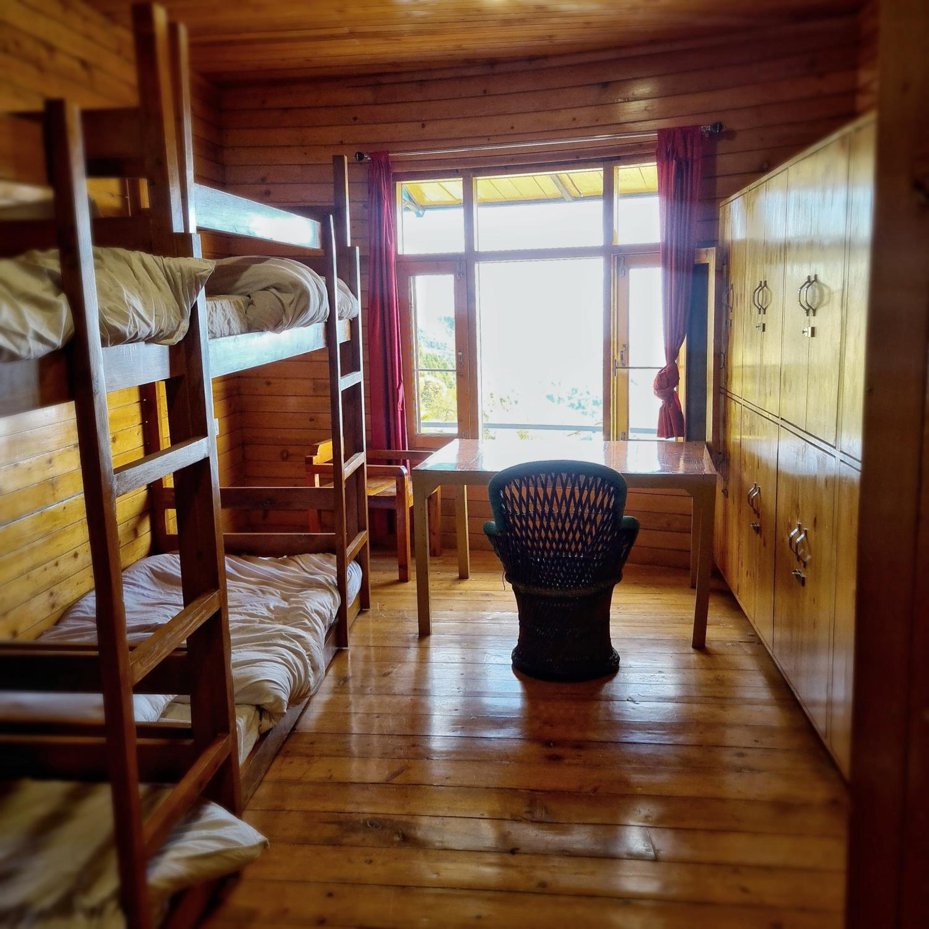 Bunk Bed In Mixed Dormitory Room photo 3