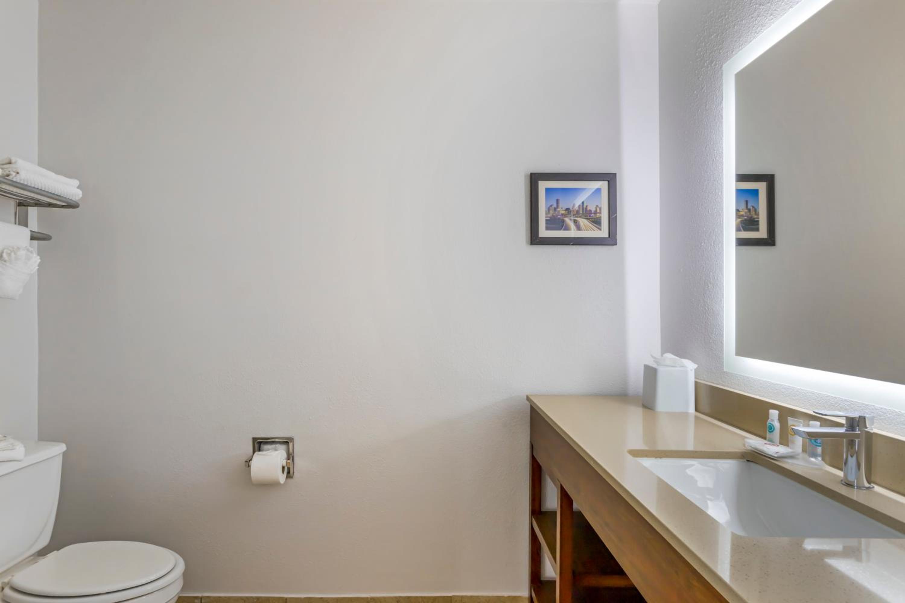 King Suite - Non-Smoking - Photo 8