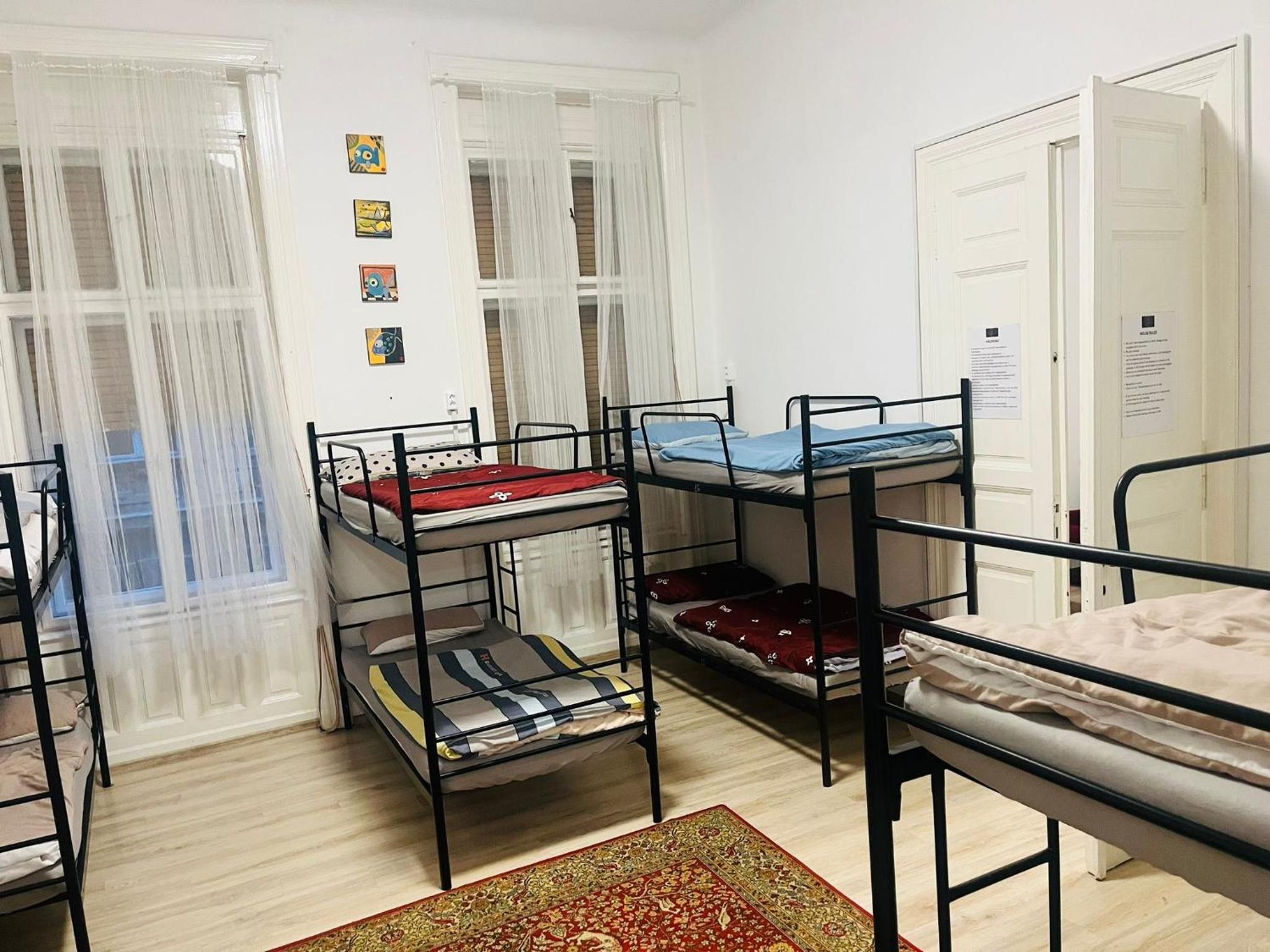 Bunk Bed in Mixed Dormitory Room