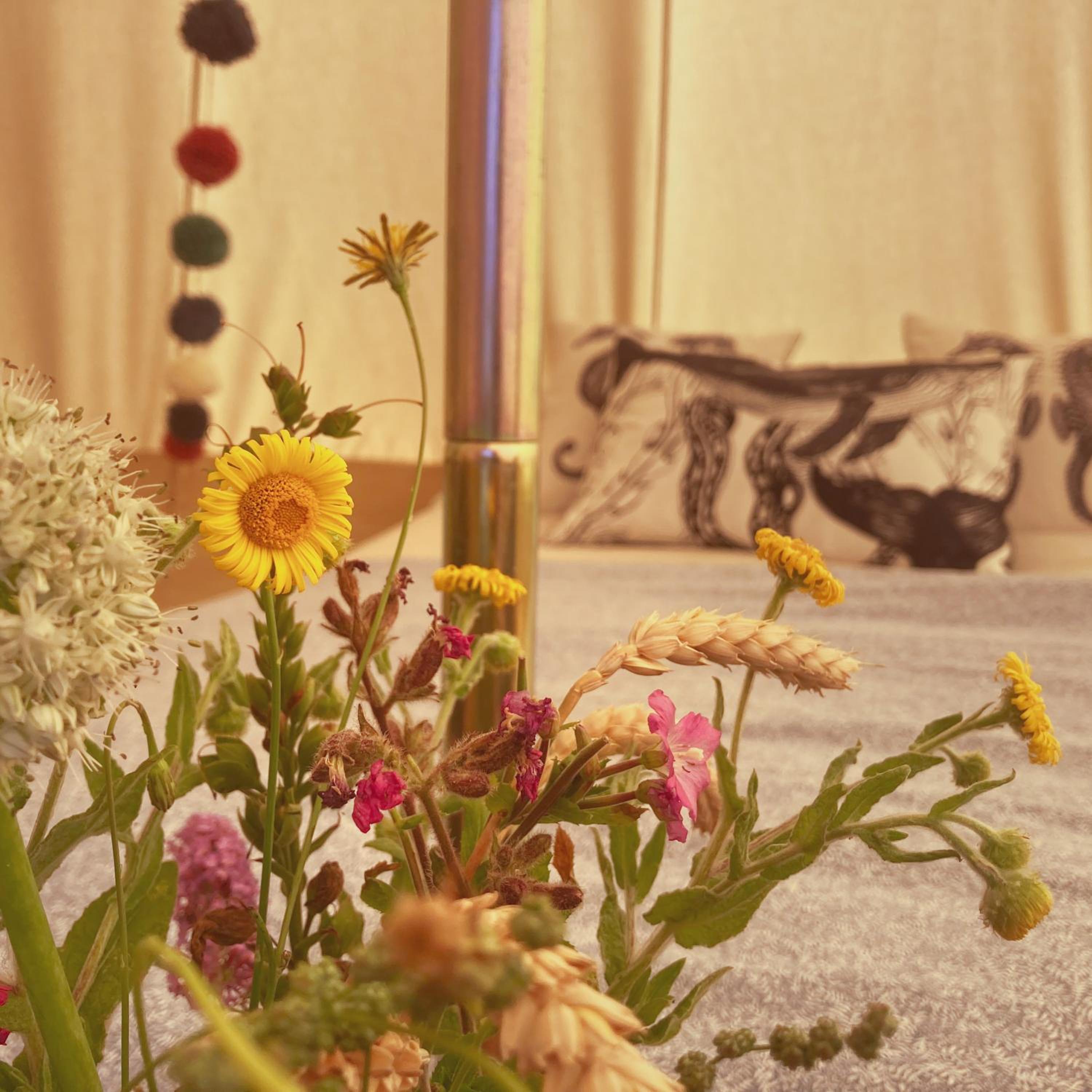 Tent photo 3