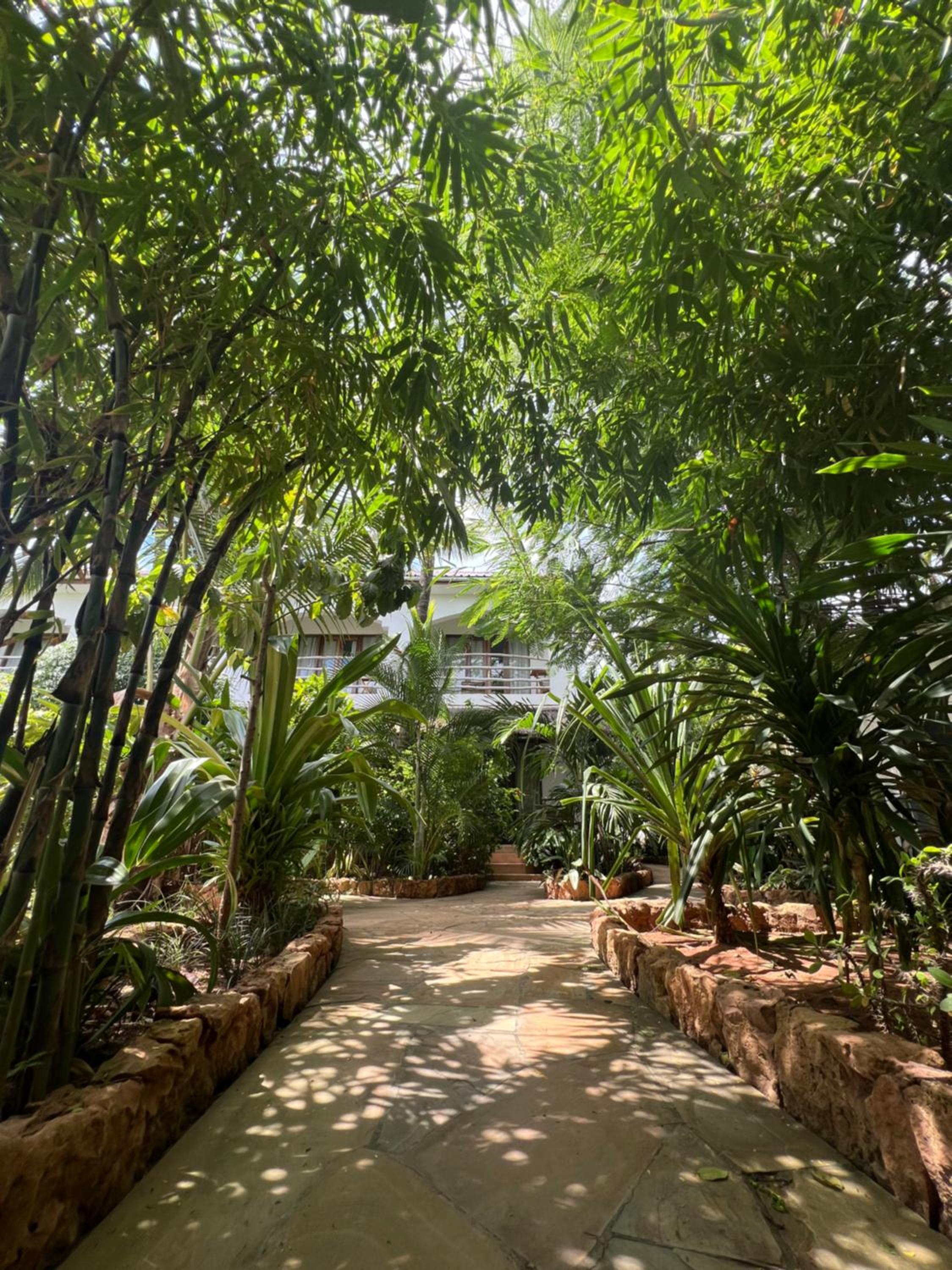 Double Room with Terrace - Photo 9