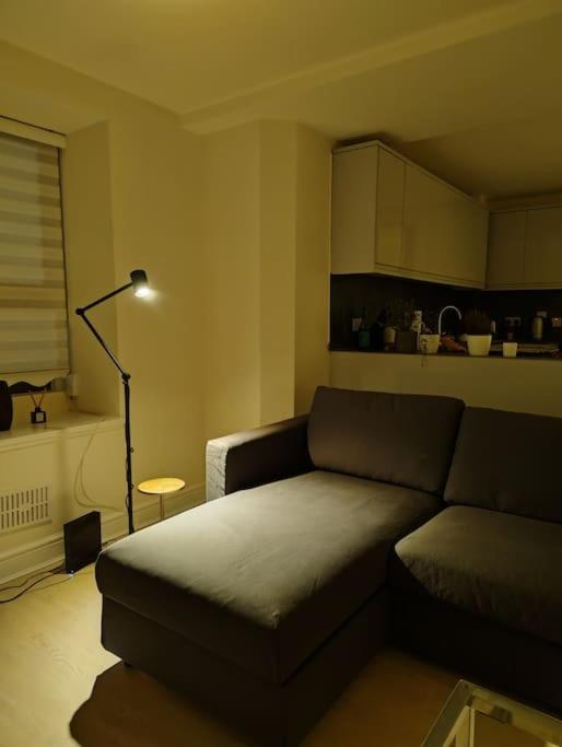 One-Bedroom Apartment photo 3