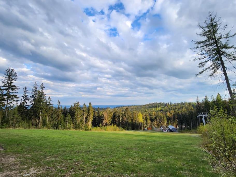 One-Bedroom Apartment with Balcony and Mountain View   photo 3
