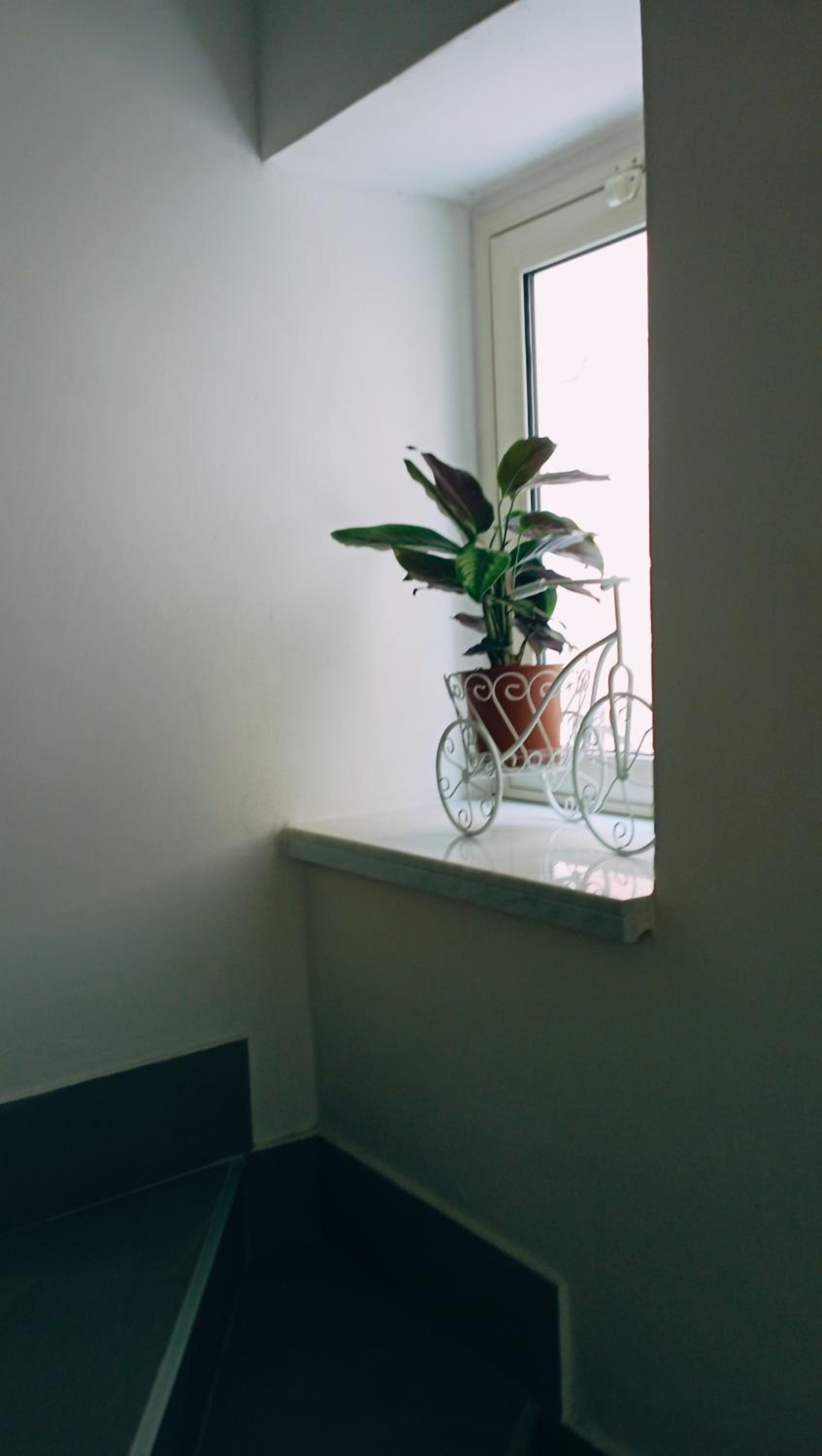 Double Room with Balcony photo 2