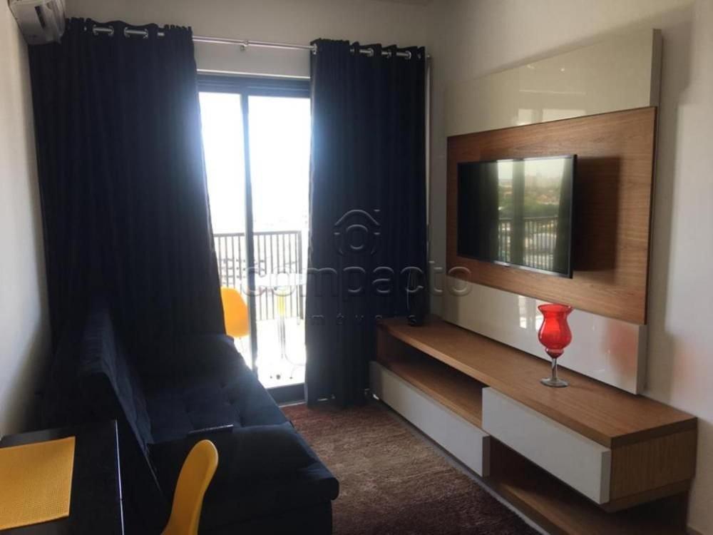 Studio Apartment photo 1