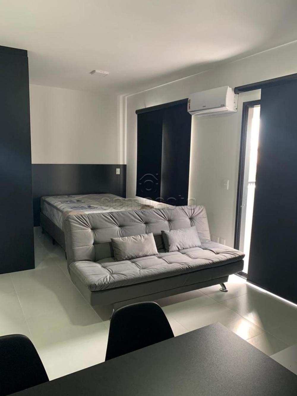 Studio Apartment photo 1