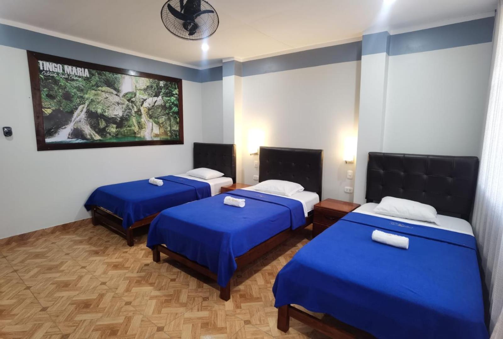 Triple Room photo 3