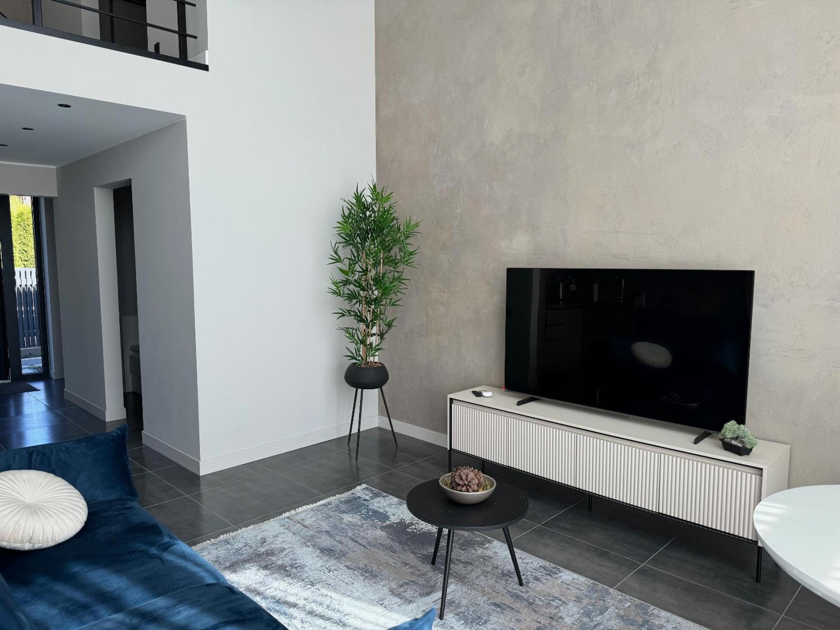 Two-Bedroom Apartment with Terrace photo 3