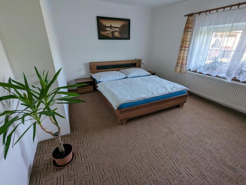 Apartment with Garden View photo 2