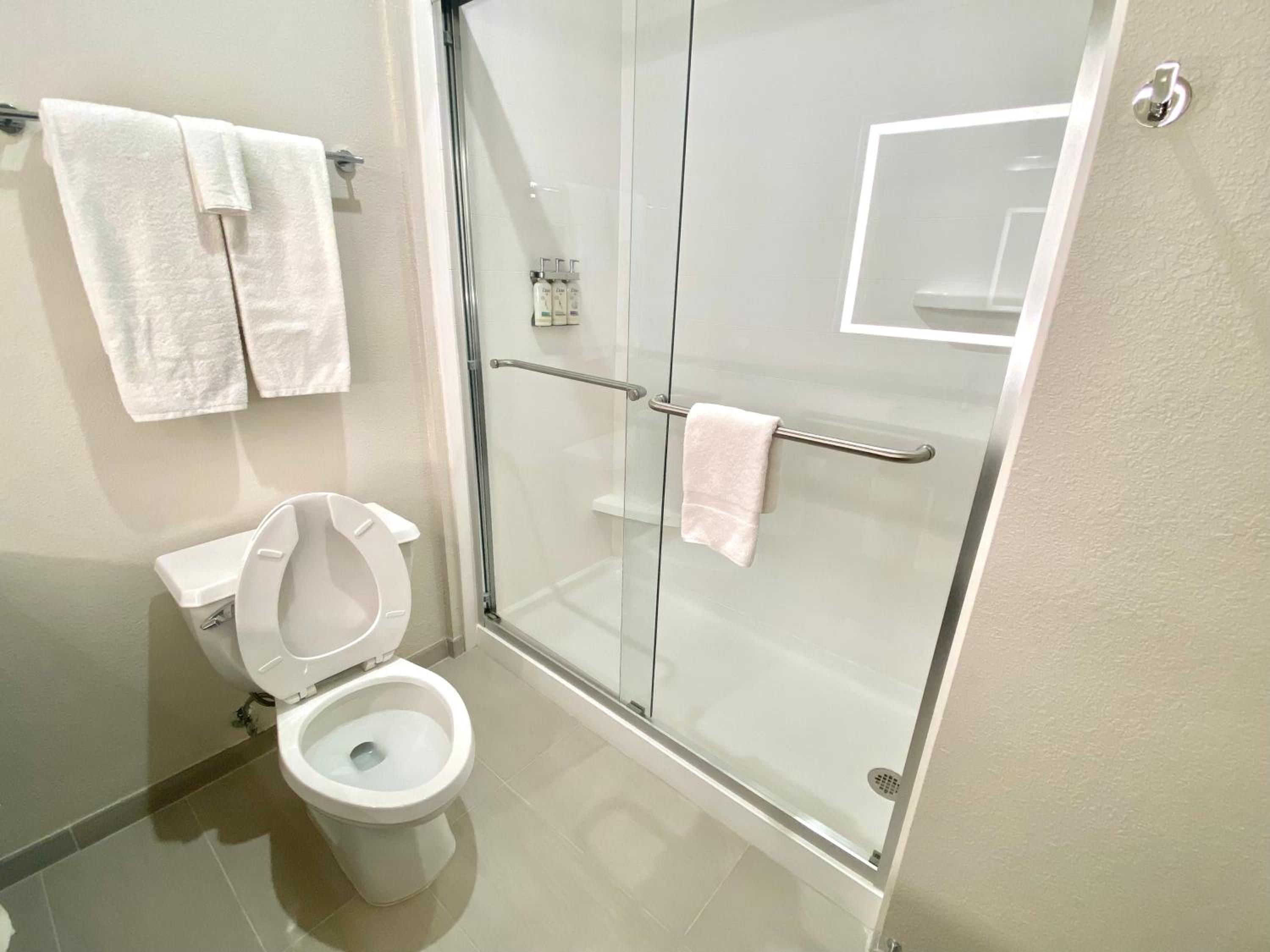 One-Bedroom Suite with Single Sofa Bed and Walk-In Shower  - Photo 2