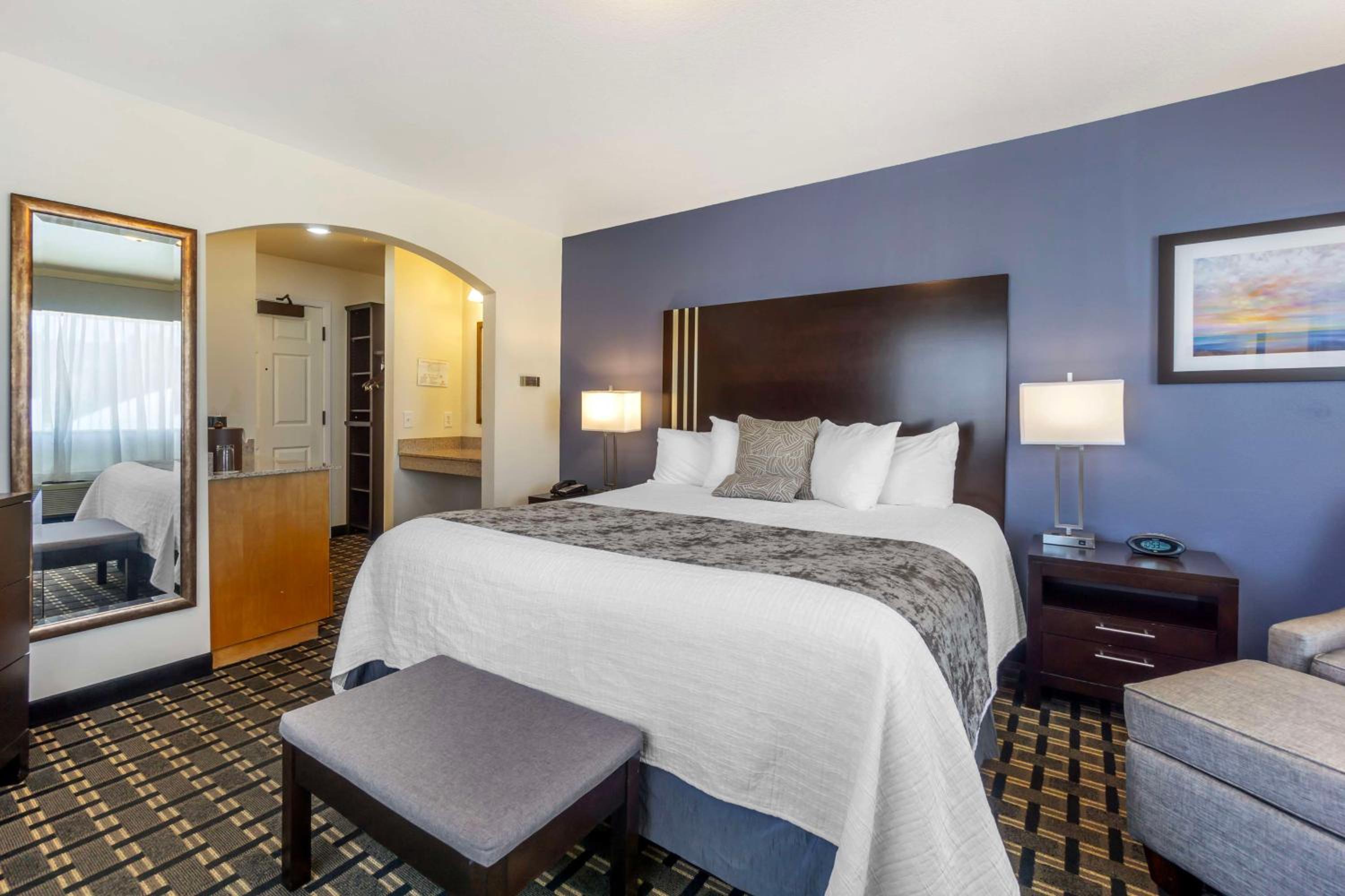 King Room with Roll In Shower-Disability Access - Photo 4
