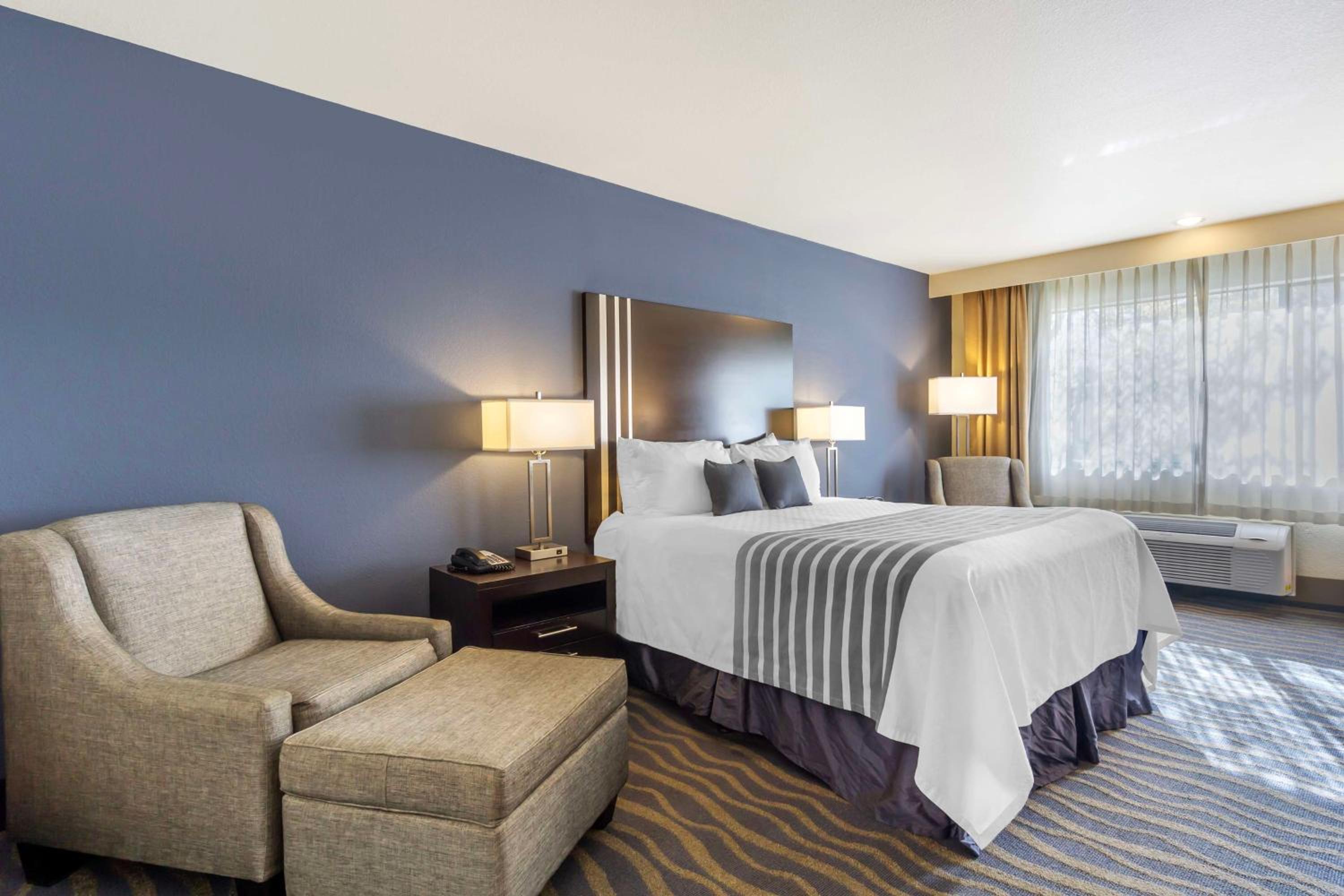 Queen Room - Photo 1