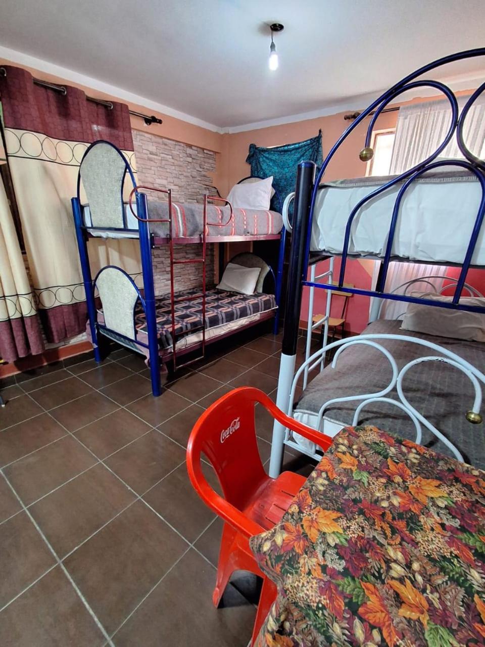 Single Bed in 6-Bed Dormitory Room photo 2
