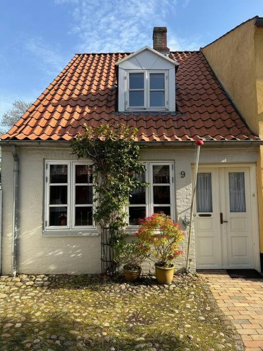 One-Bedroom House photo 1