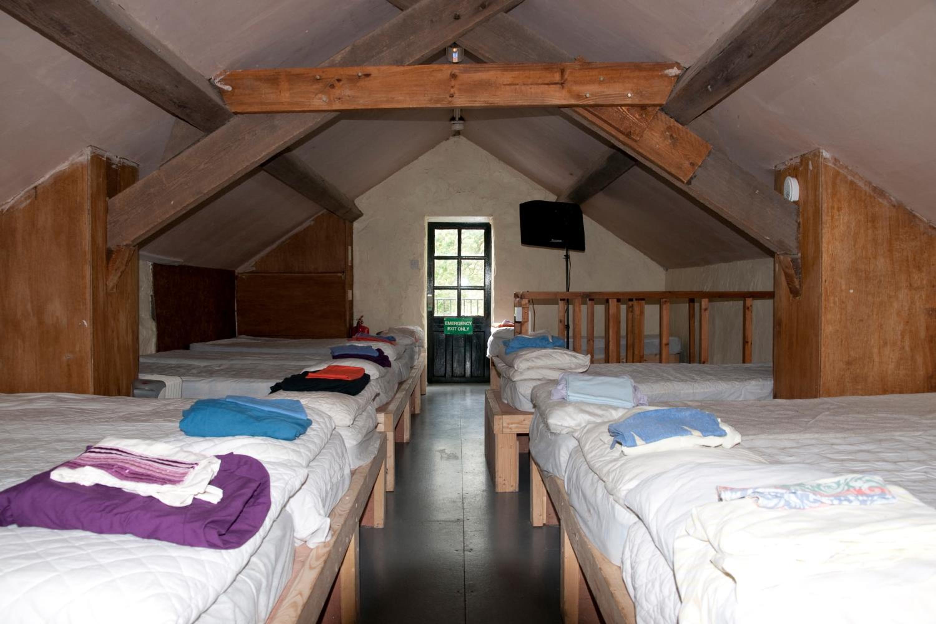 Mixed Dormitory Room photo 1