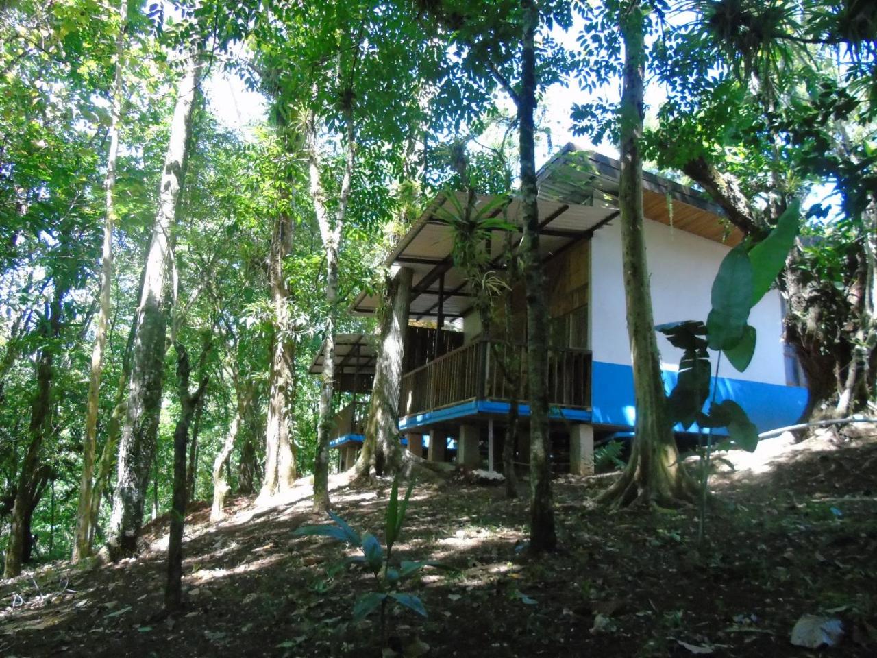 Apartment With Terrace photo 2
