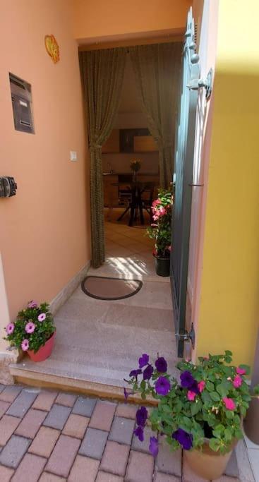 Apartment photo 3