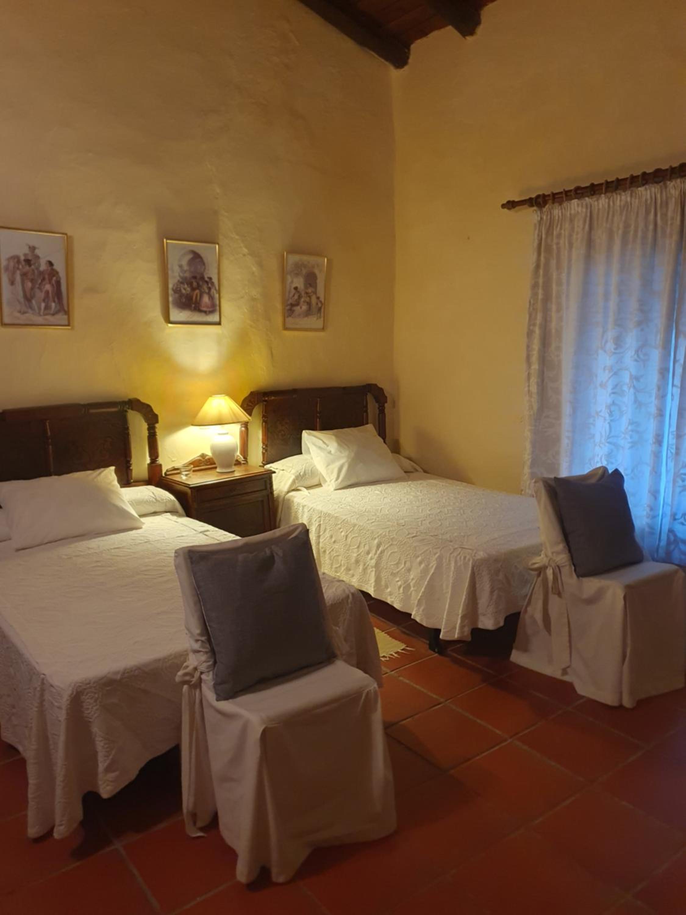 Twin Room photo 2