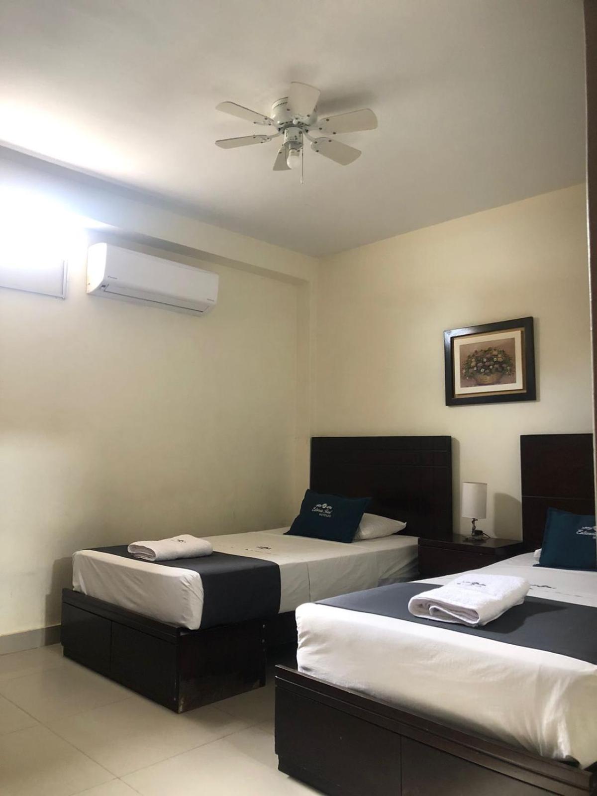 Twin Room photo 1