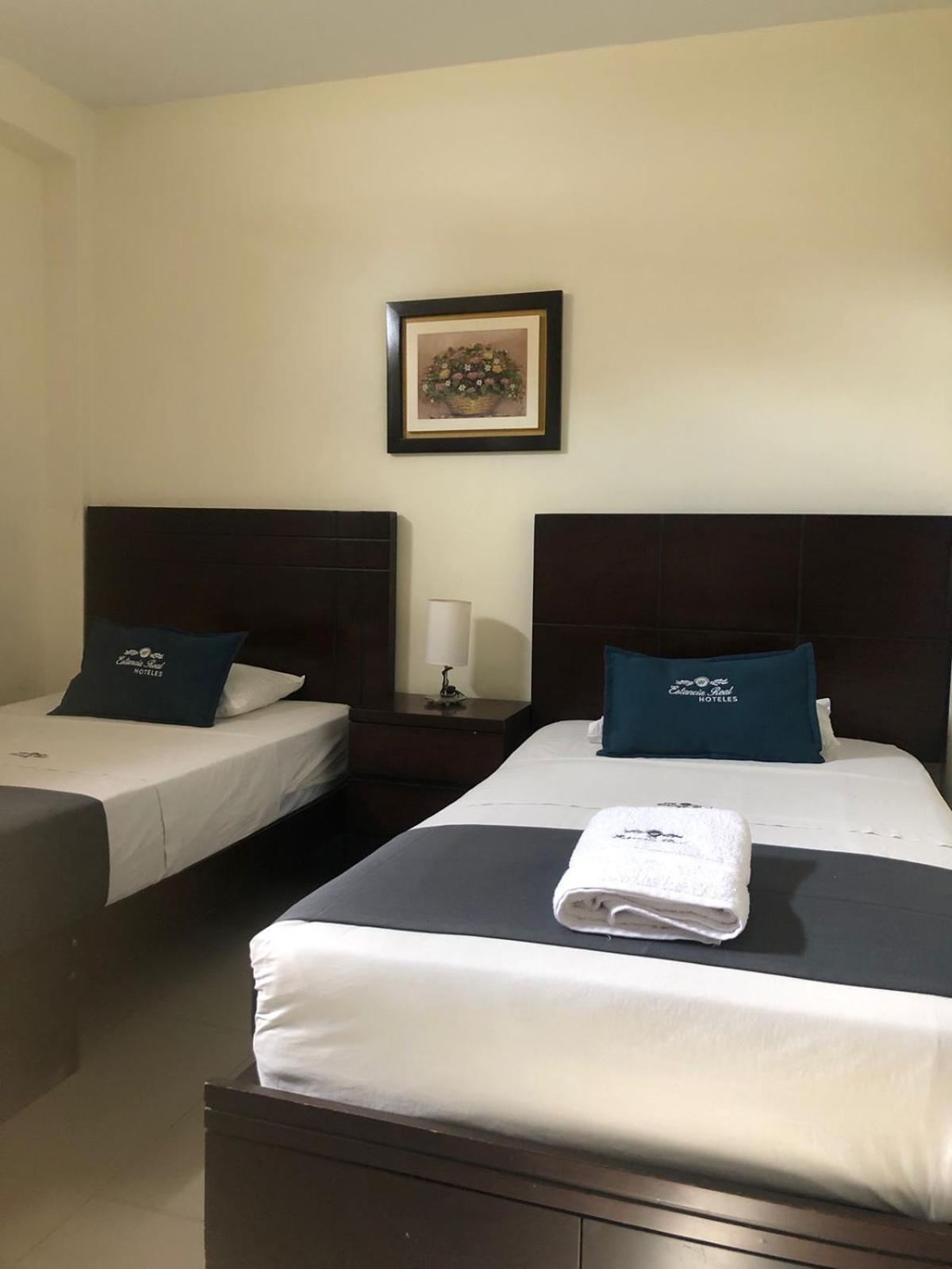 Twin Room photo 2