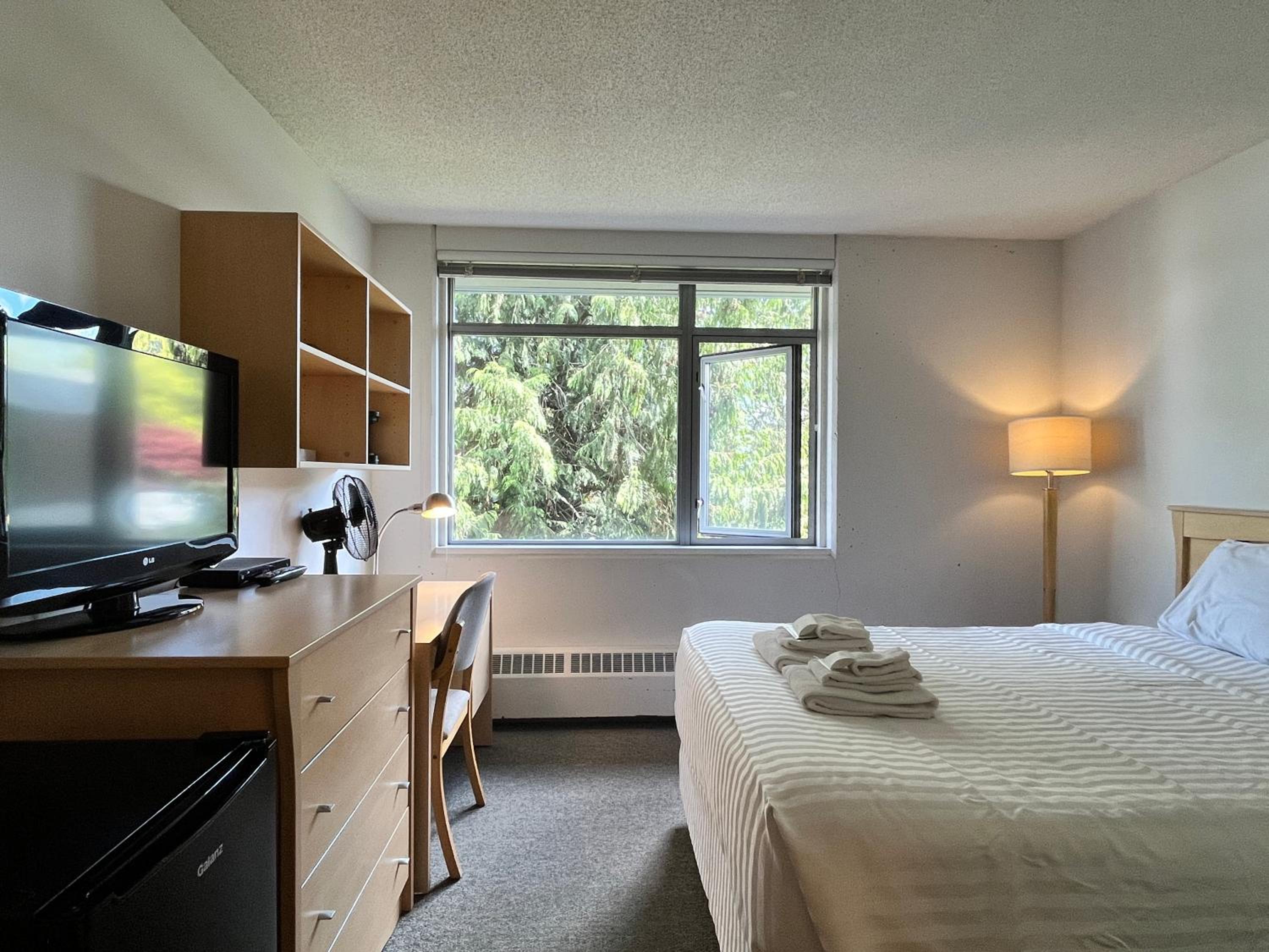 Queen Room + Sofa bed