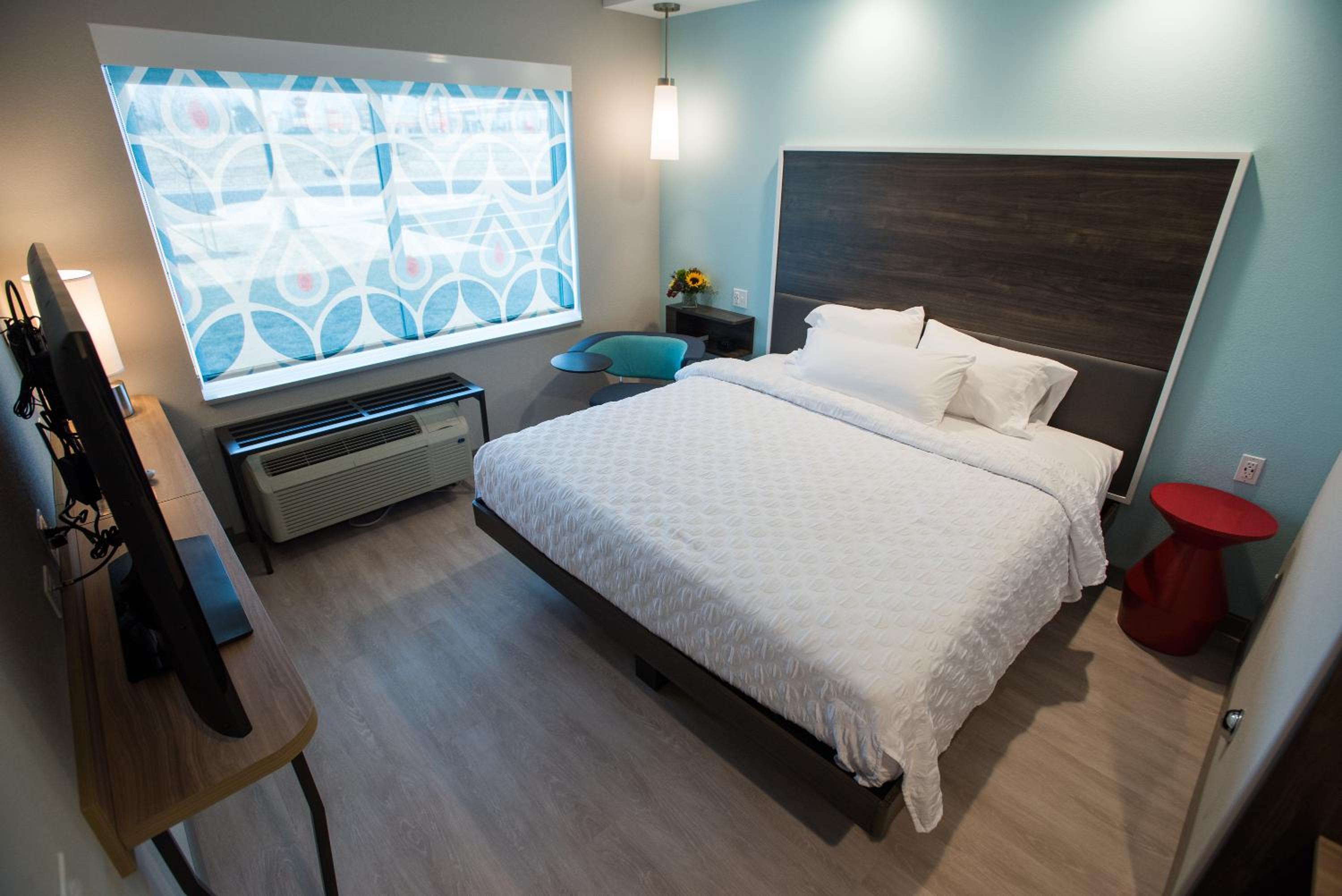 King Room photo 1