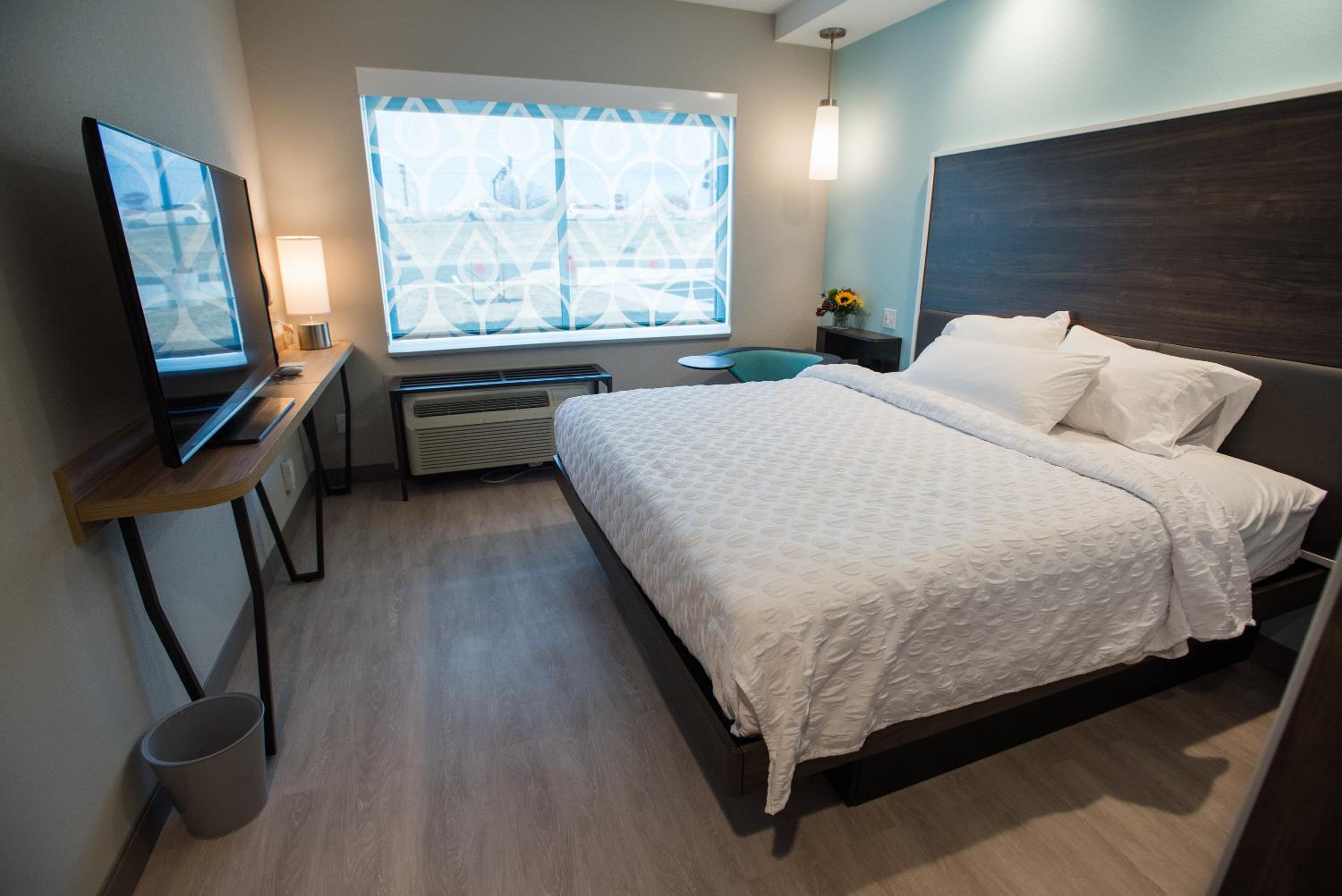 King Room photo 3
