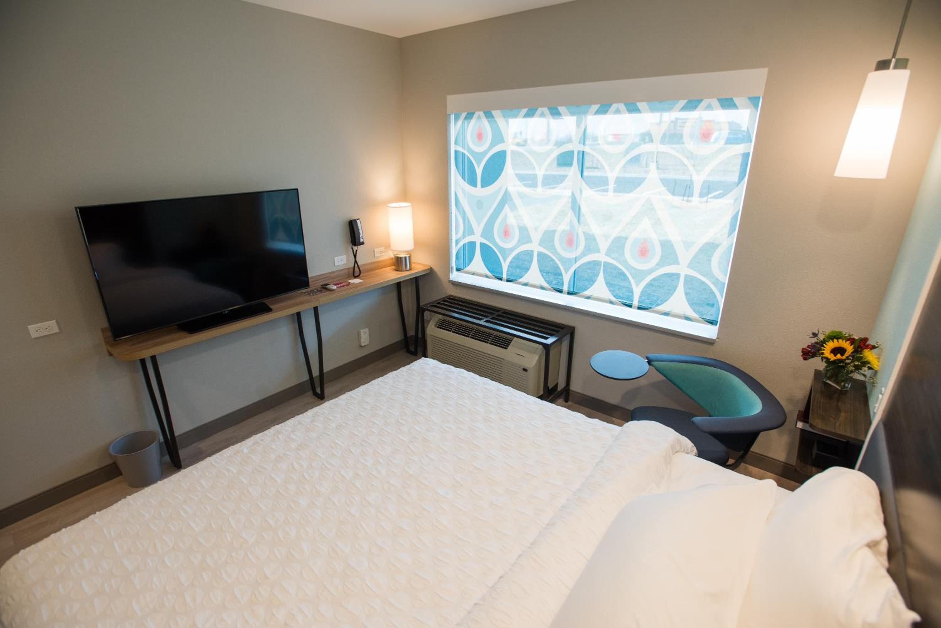 King Room photo 2