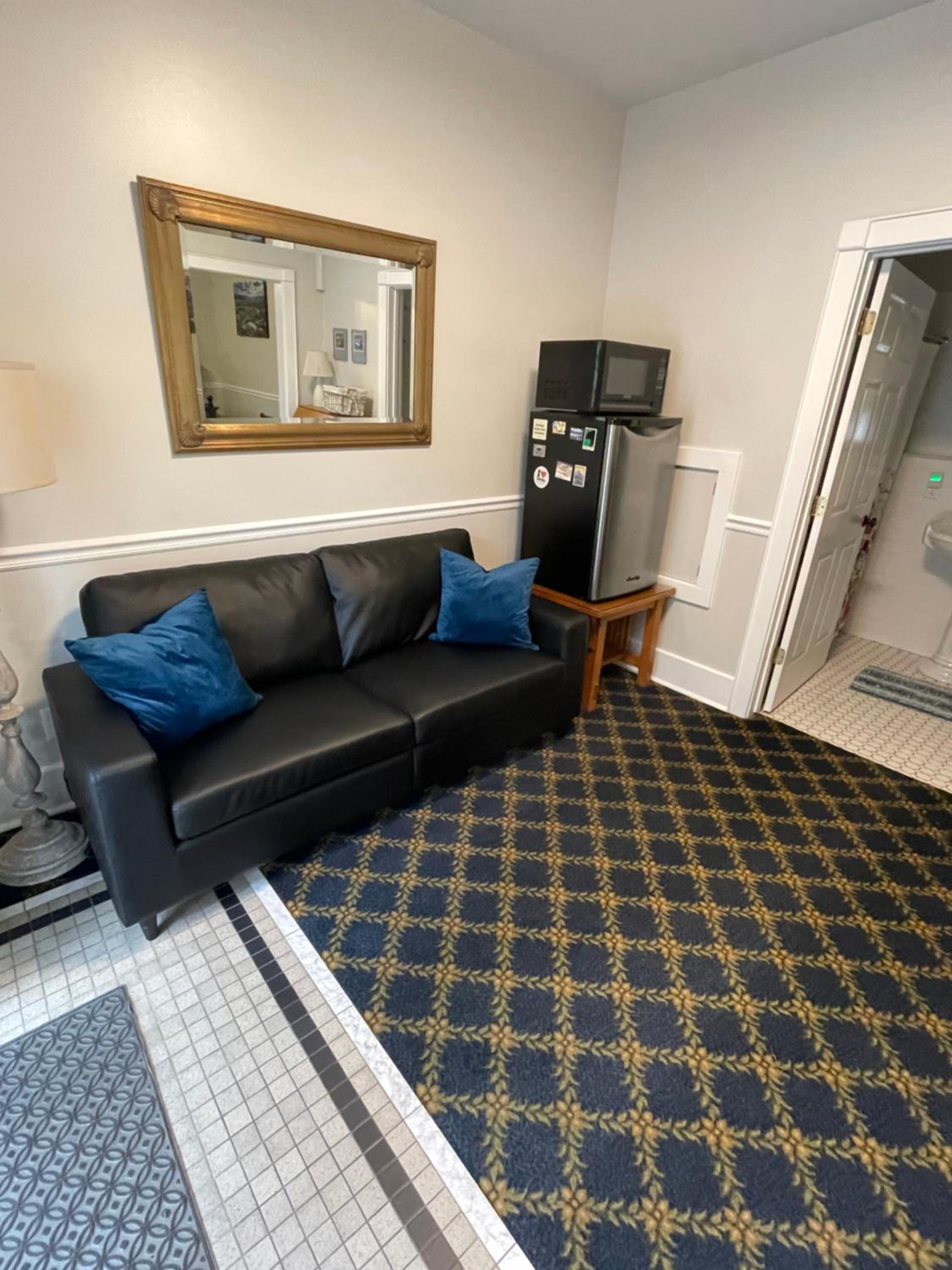 Deluxe King Suite - Photo 15